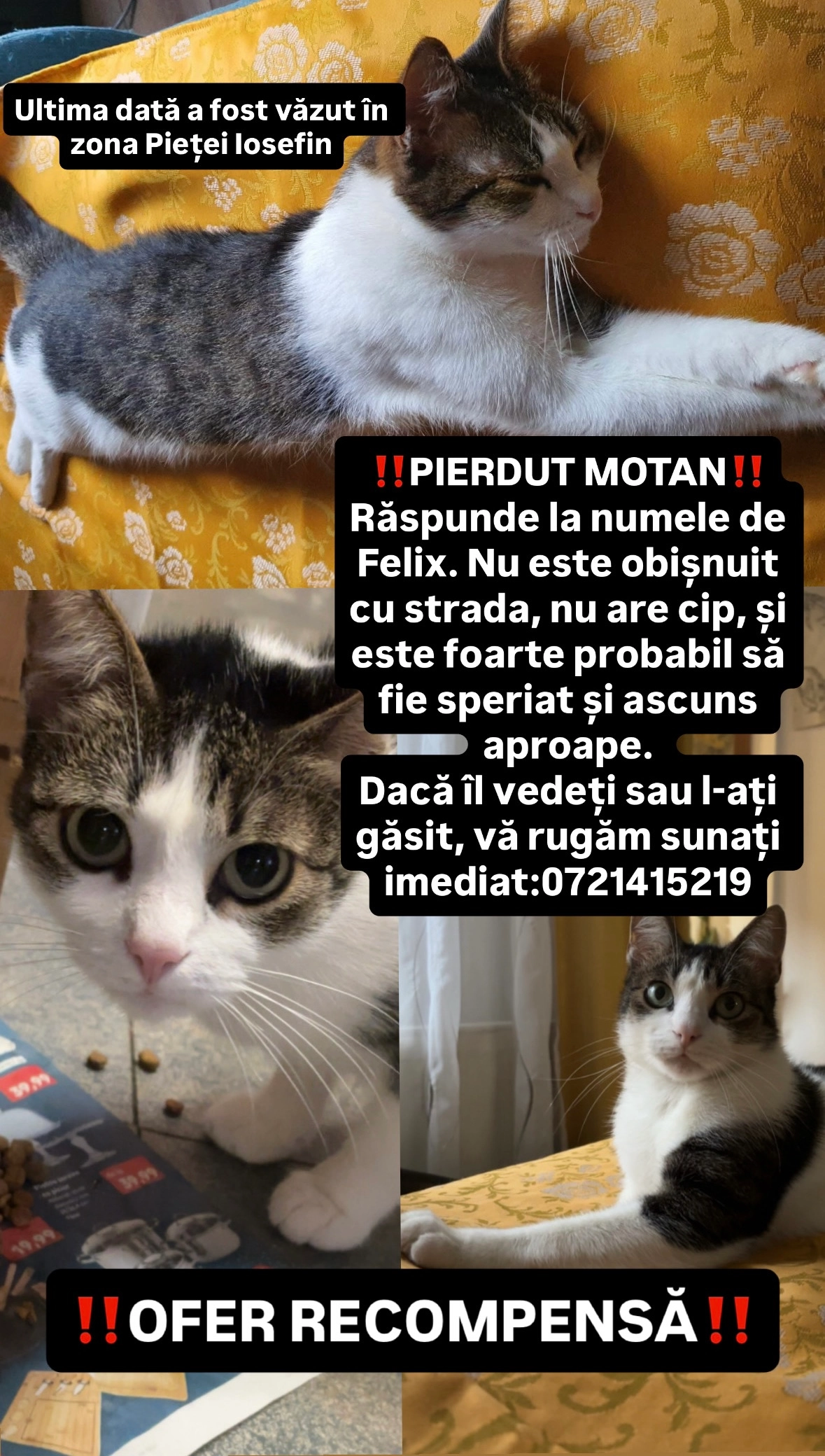 Felix  - Bulevardul Regele Carol I, Timișoara