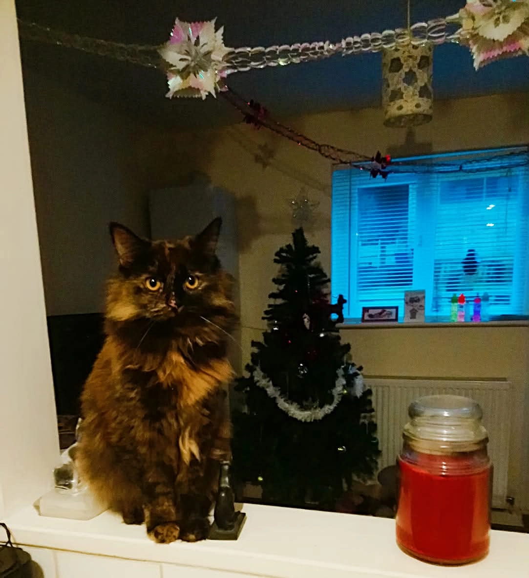 Sparx - Singledge Lane, Dover