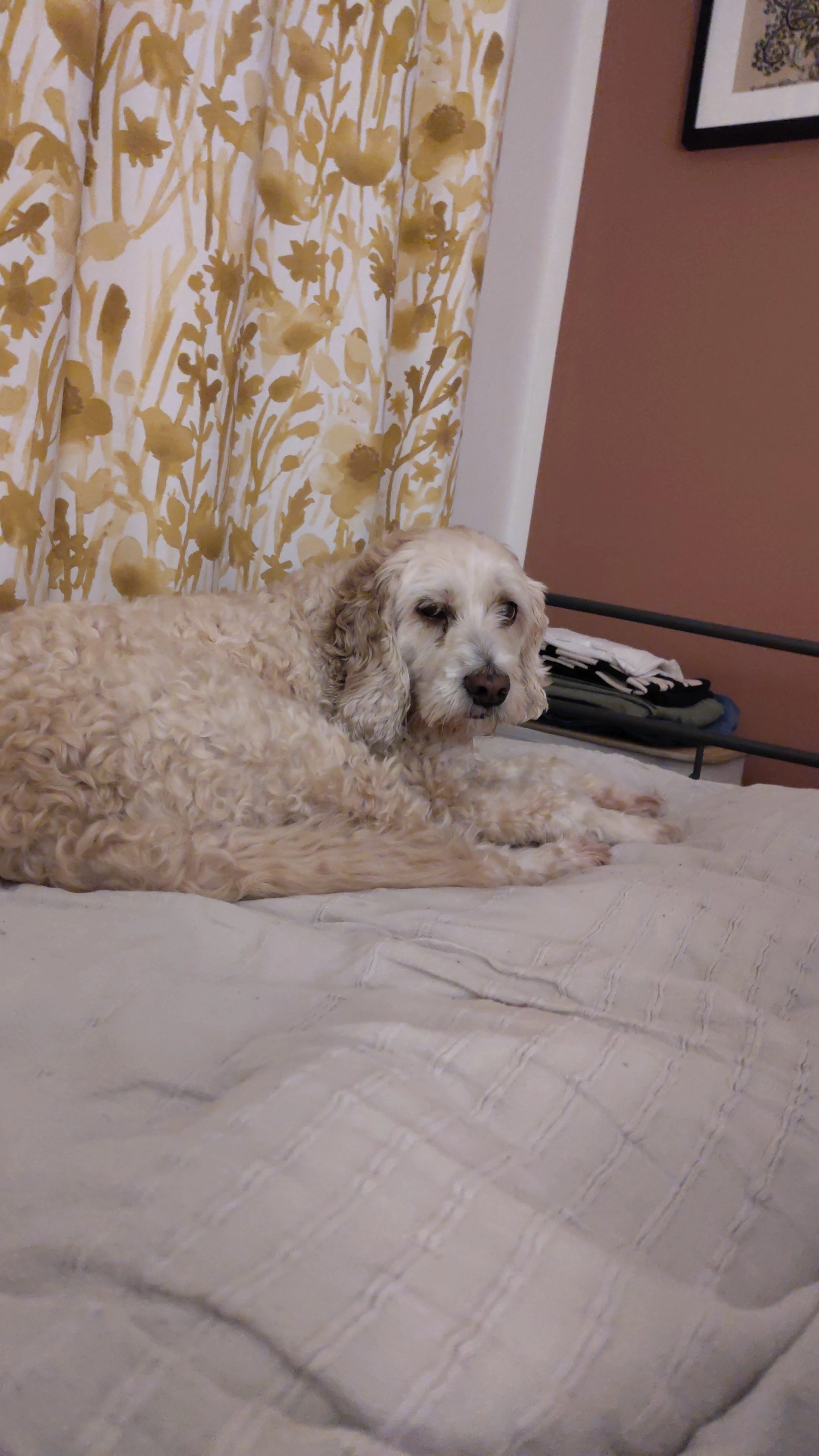 Nixxi - Jacobus Deckersstraat, Eindhoven