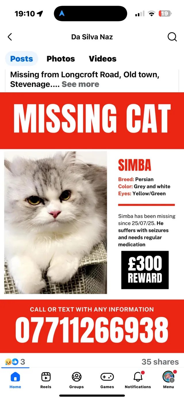 Simba  - Longcroft Road, Stevenage
