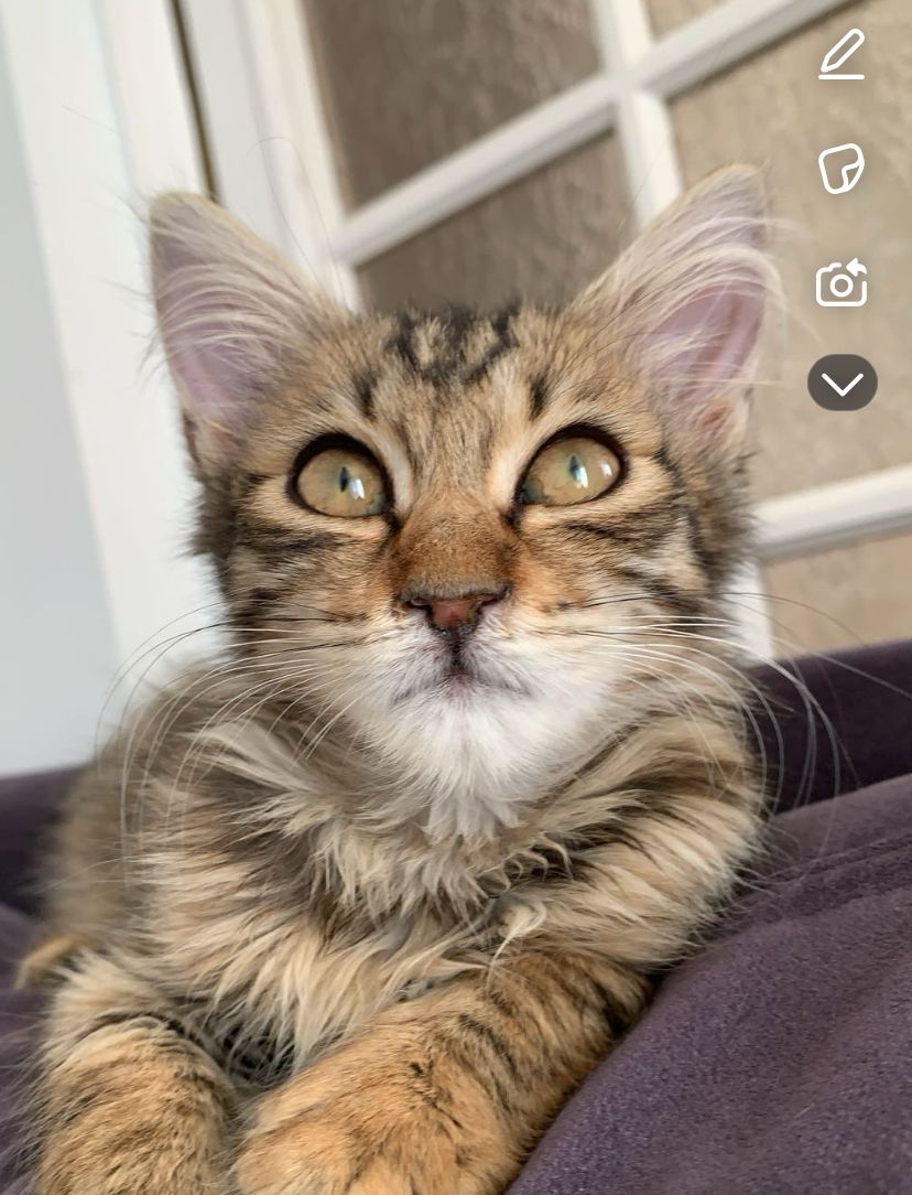 Guchlu  - Rue Des Aubépines, Firminy