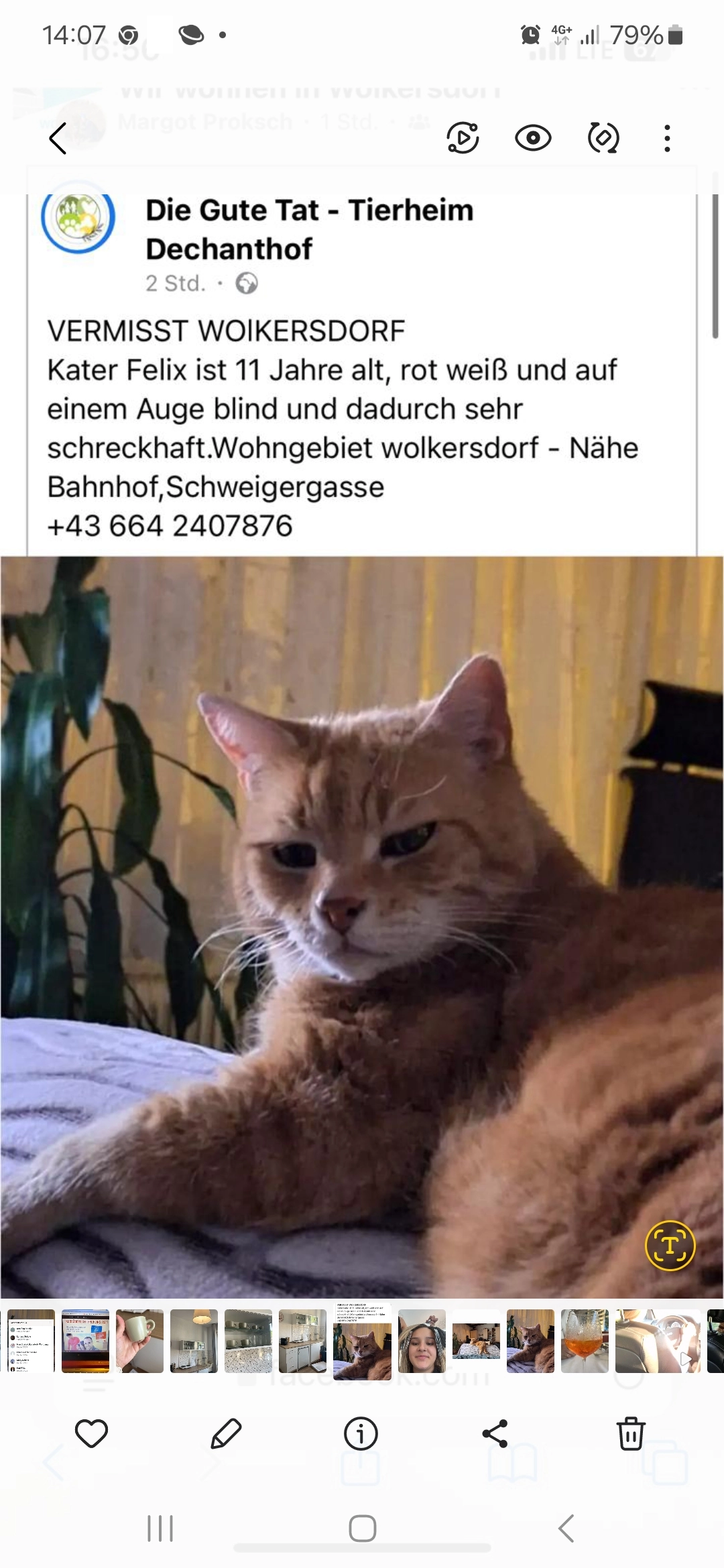 FELIX  - Johann-Schweiger-Gasse, Wolkersdorf im Weinviertel