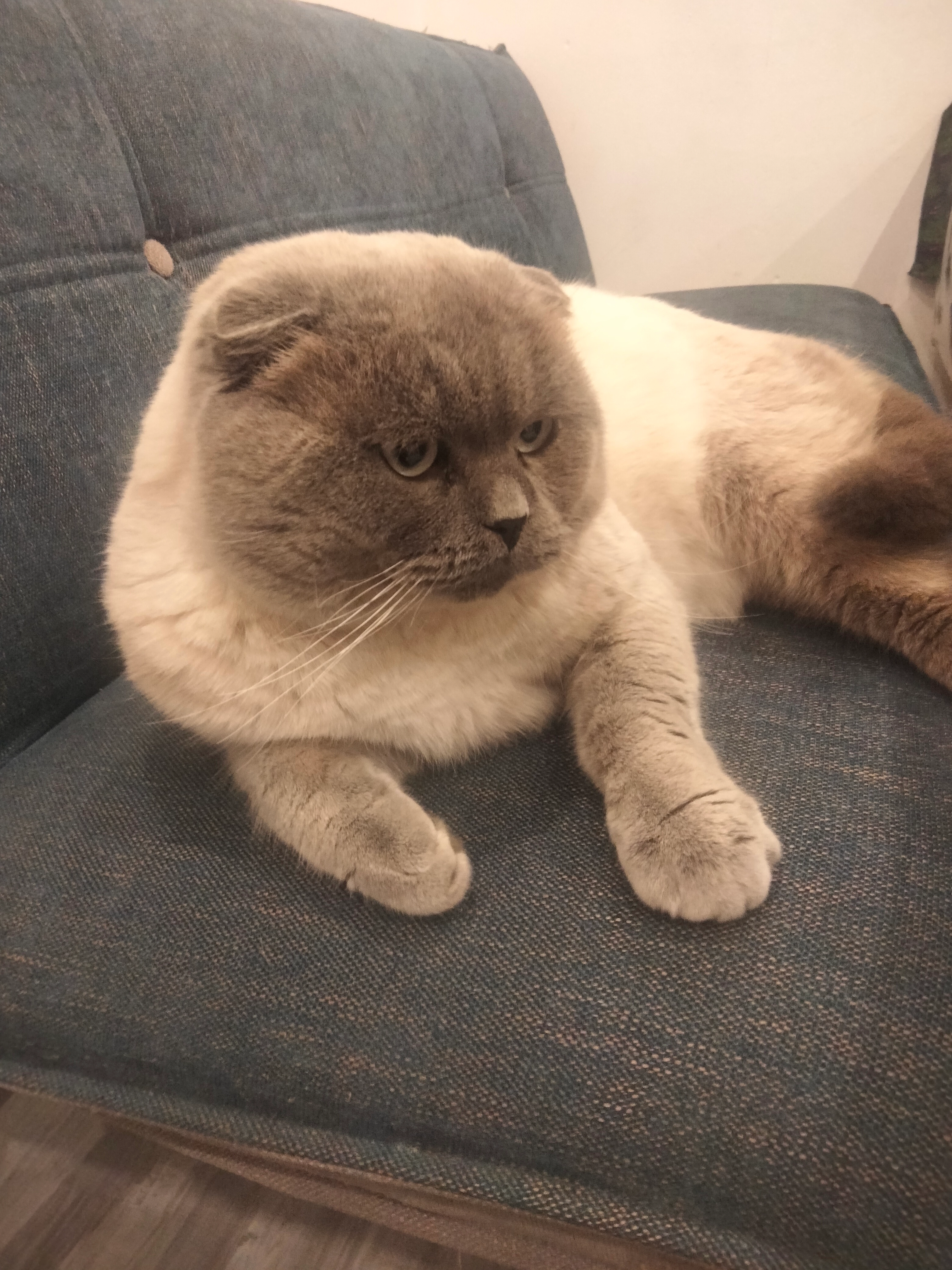 Pompik - L 694, Meinerzhagen