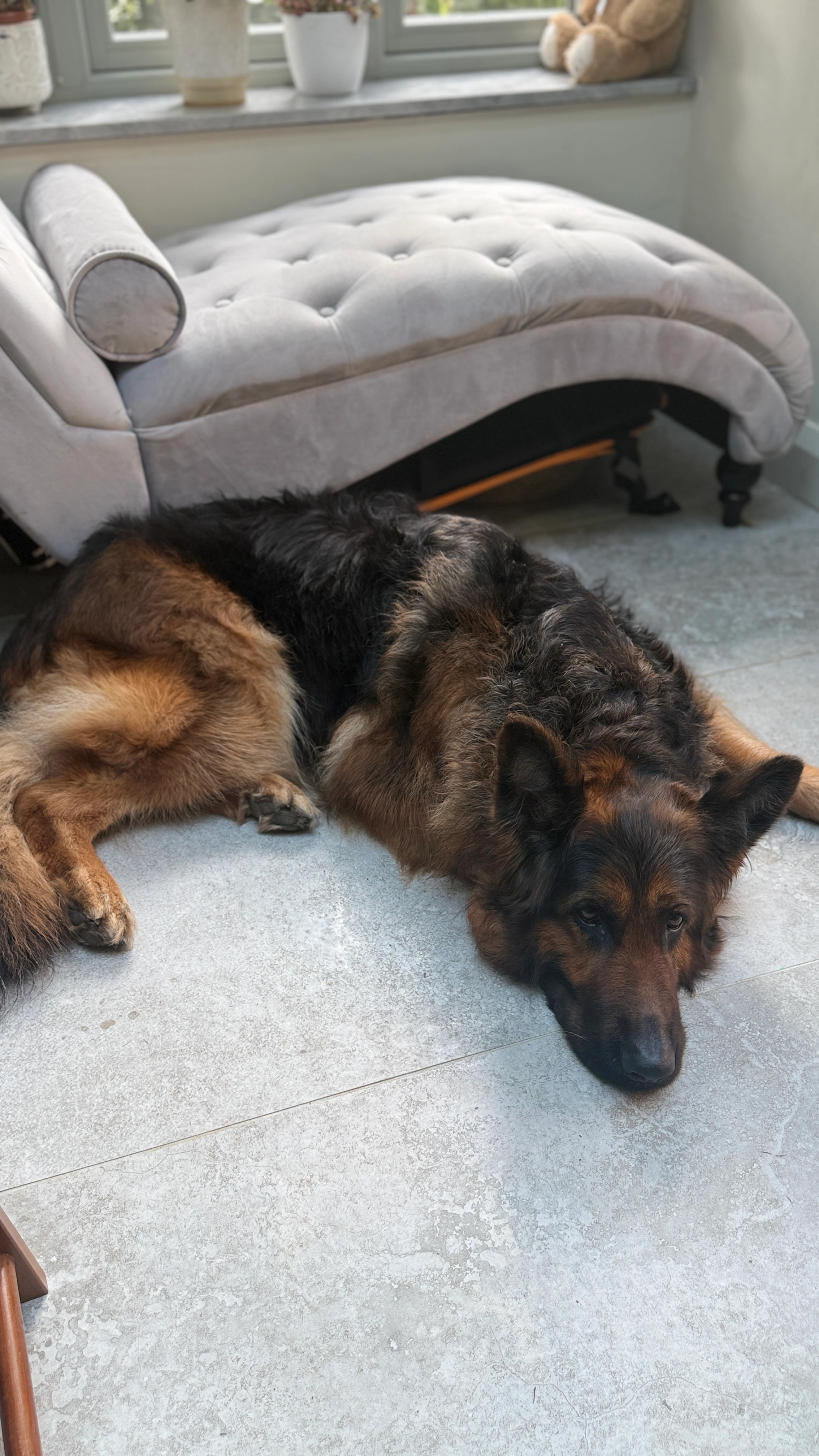 Floppcy  - Selwyn Road, Birmingham