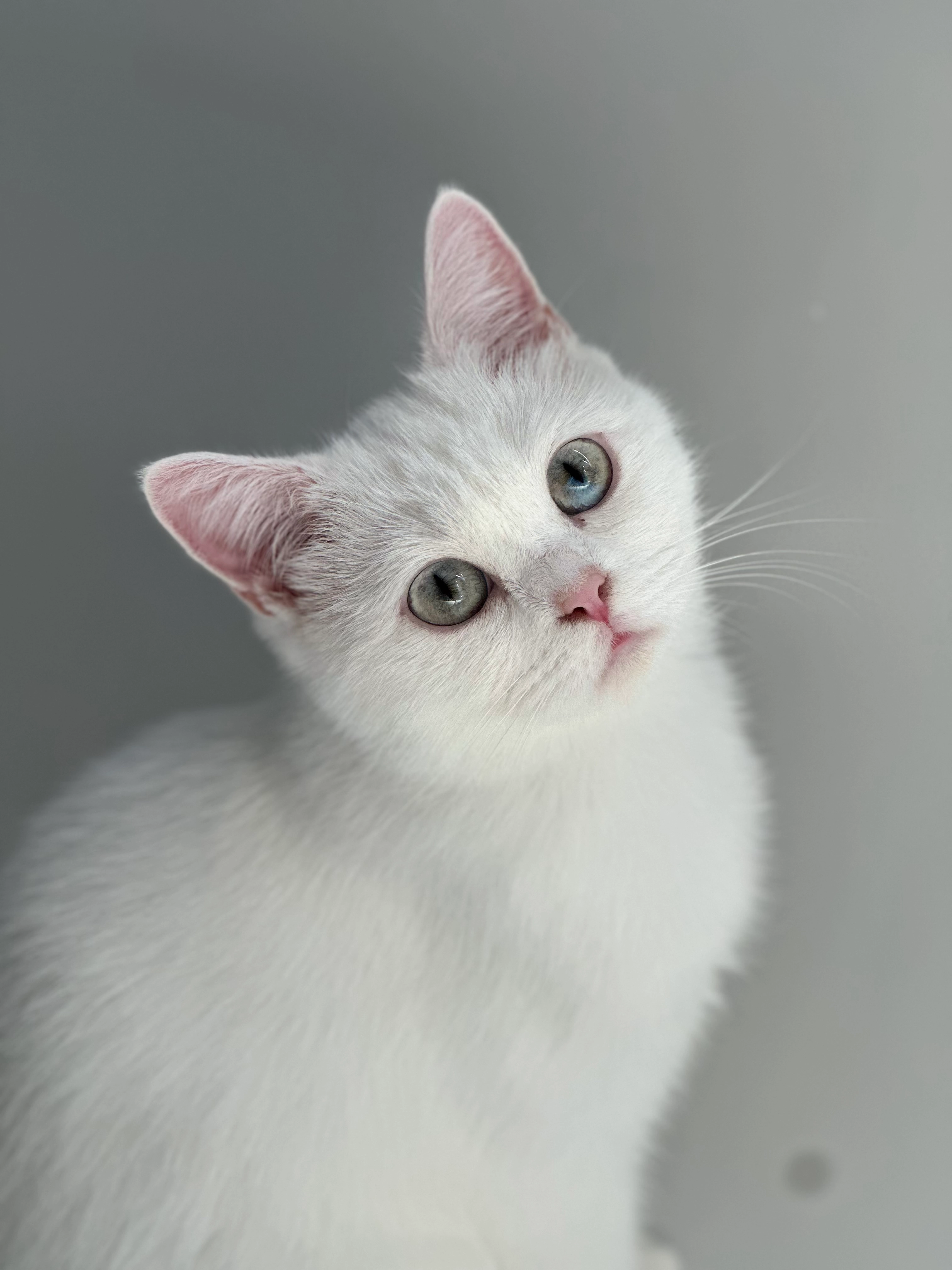 Meli  - Feldstraße, Alveslohe