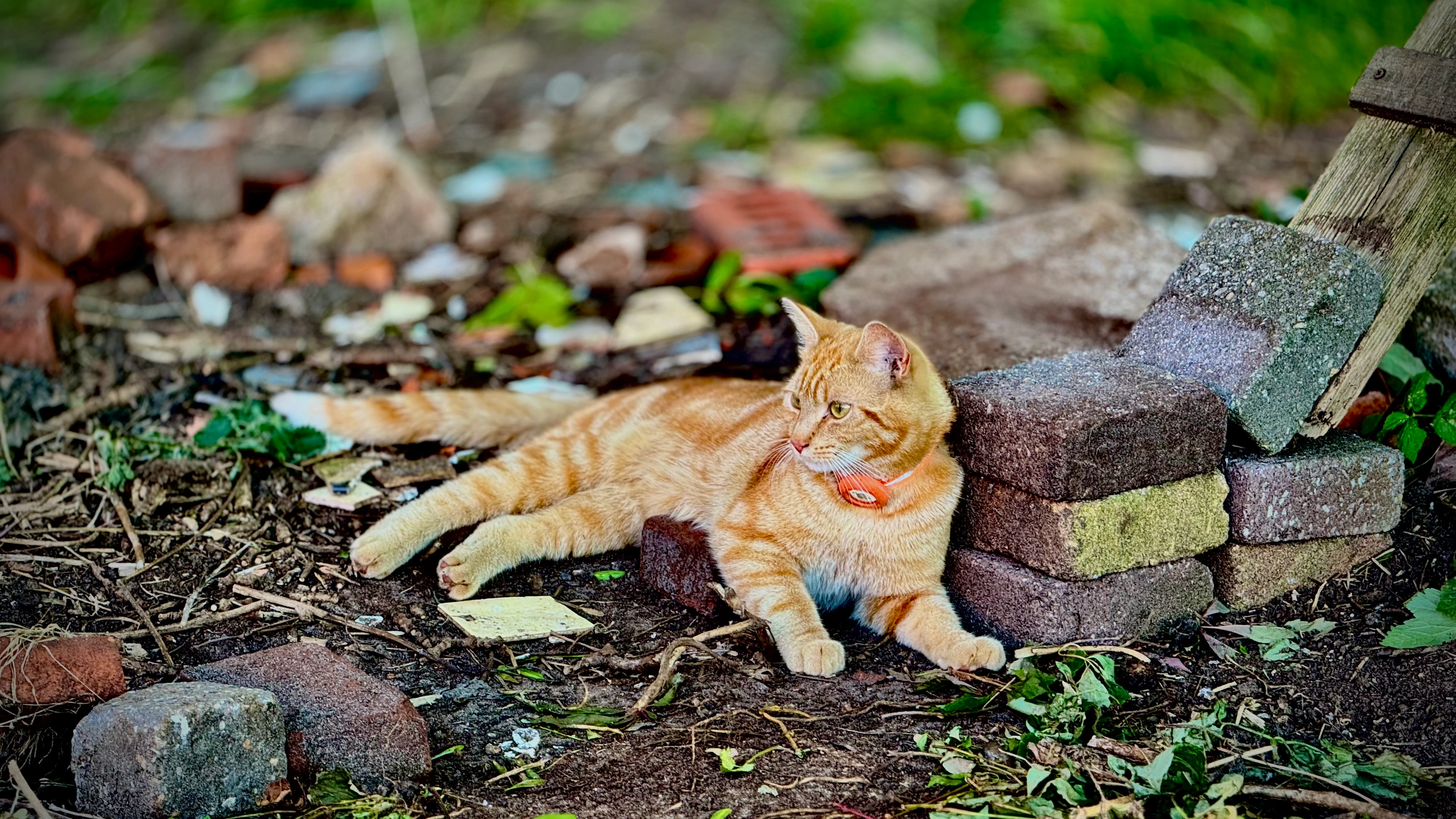 Samu - Achter de Wal, Groningen