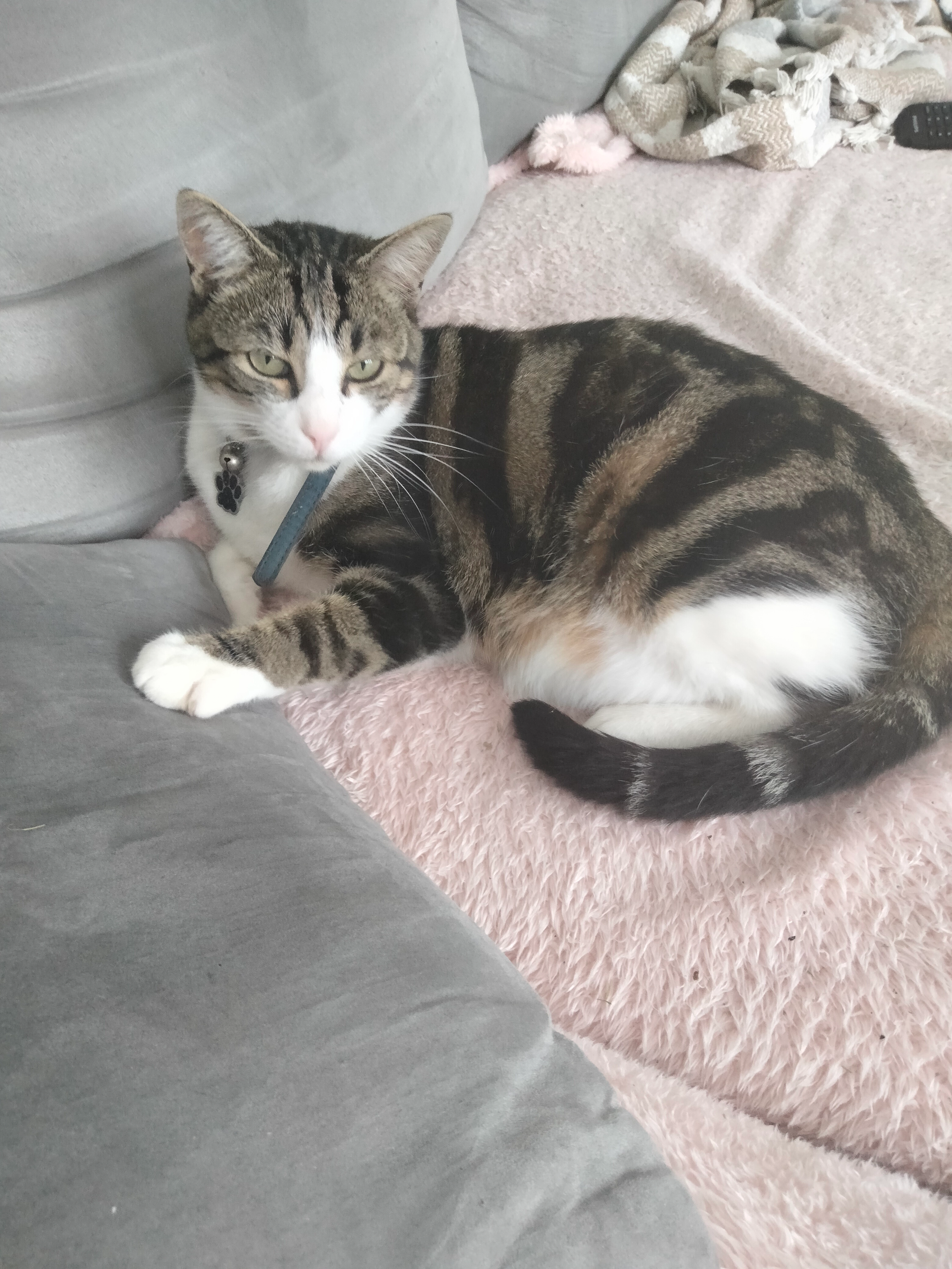 Sushi - Rue De La Pouge, Saint-Auvent