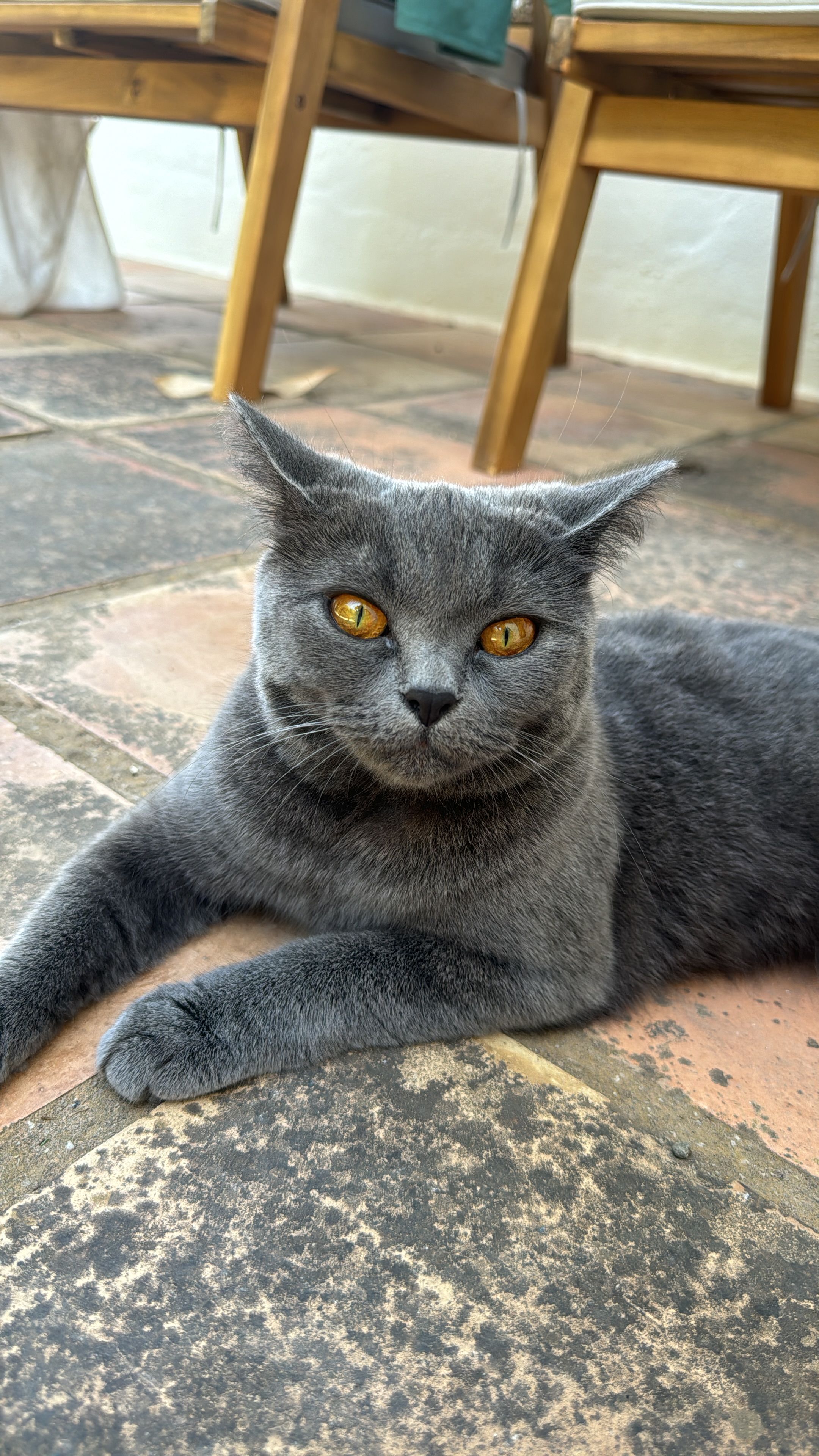 Lovie  - Calle Río Odiel, Alhaurín de la Torre