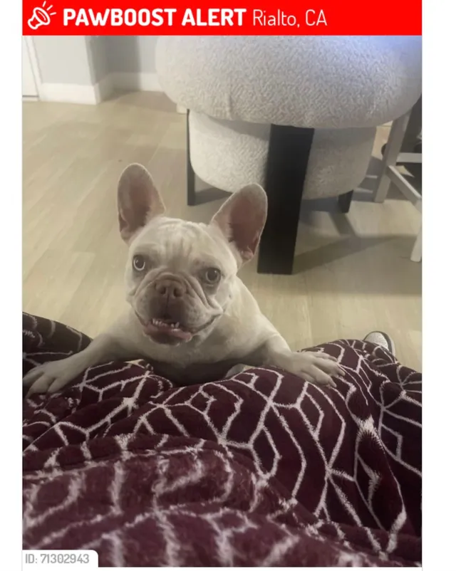 Nala - North Lilac Avenue, Rialto