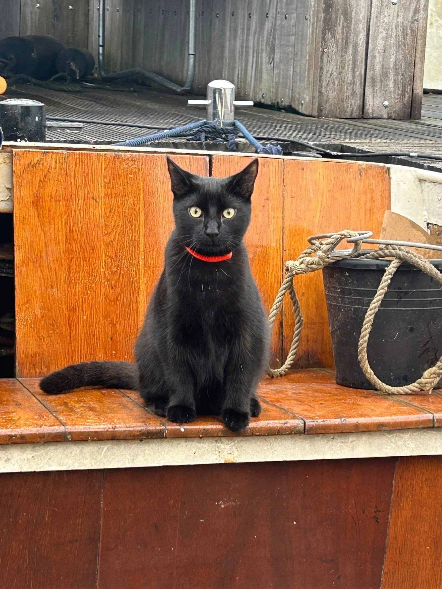 Boris  - Zuiderrak, Sneek