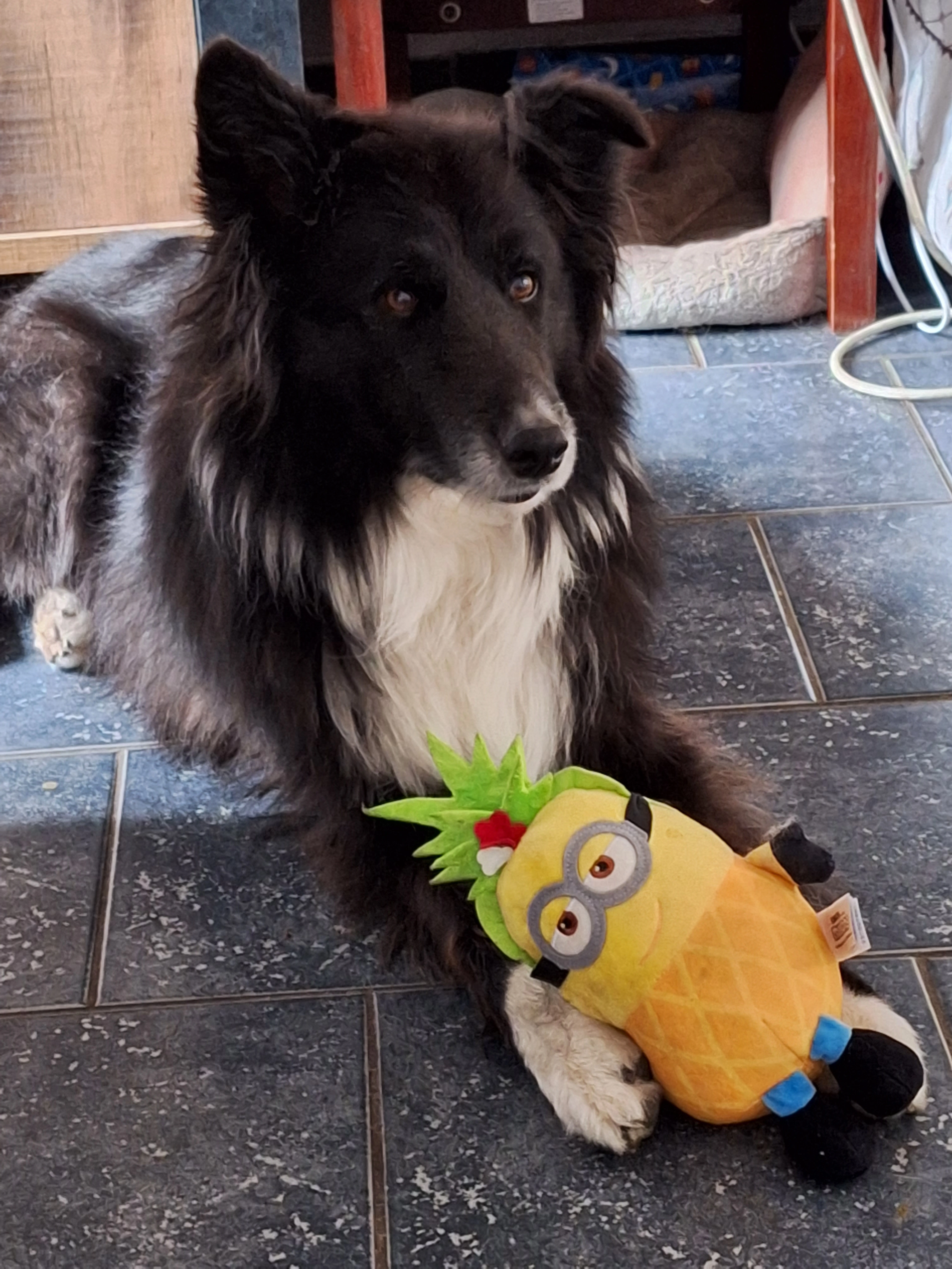 Marley - Quai du Halage, Engis