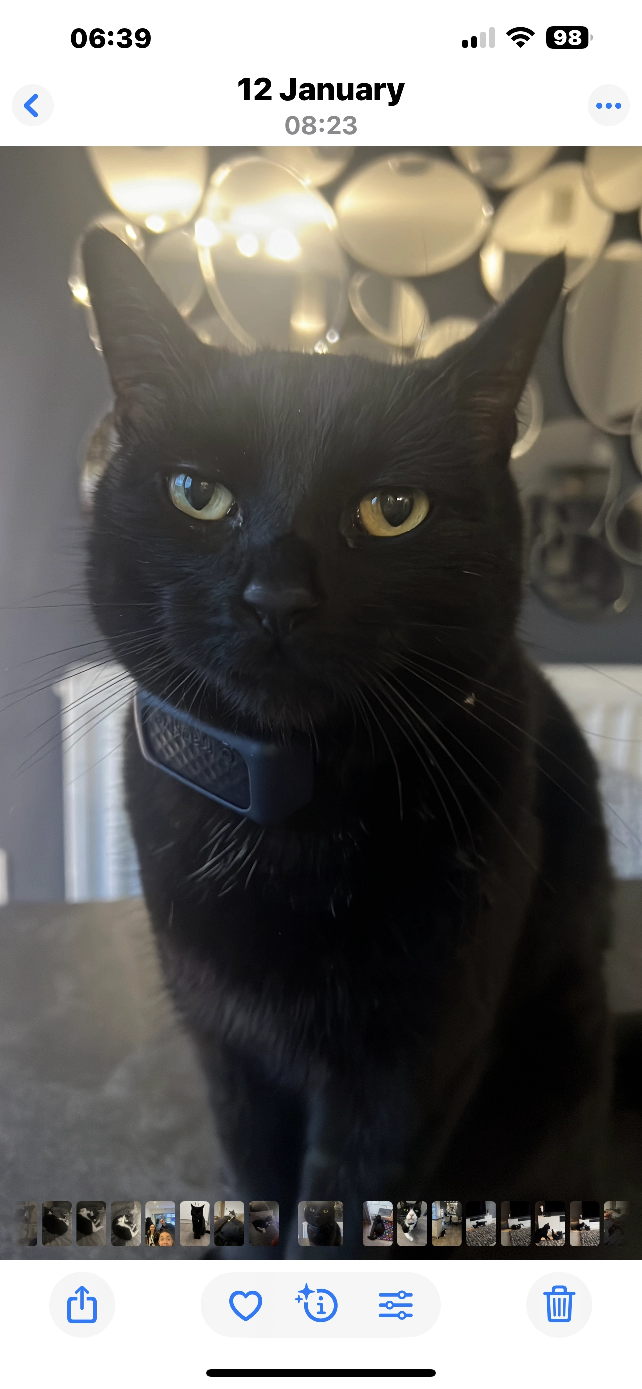 Charlie  - Hopton Drive, Derby