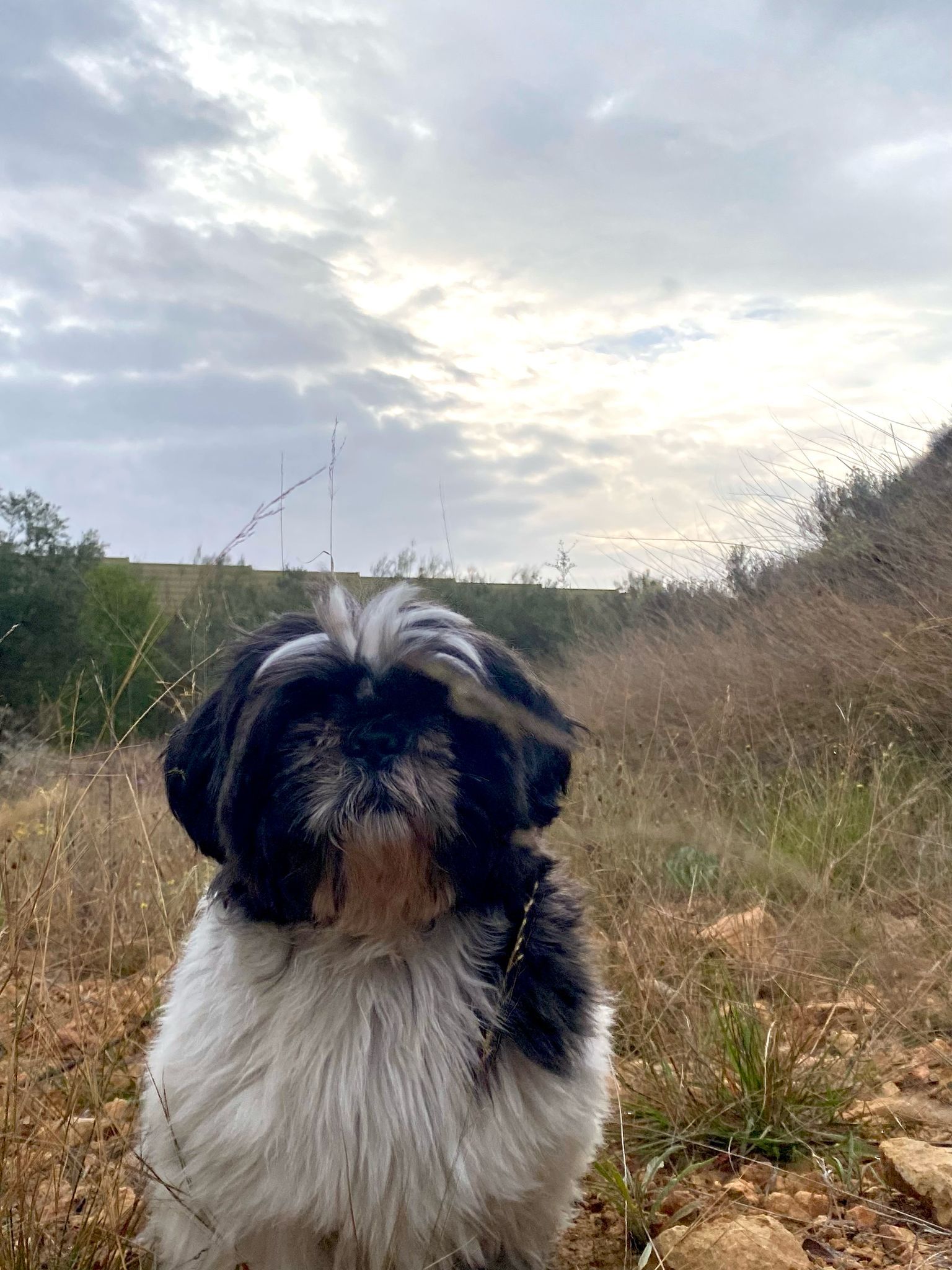 Lucky  - Calle Tubería, Alicante