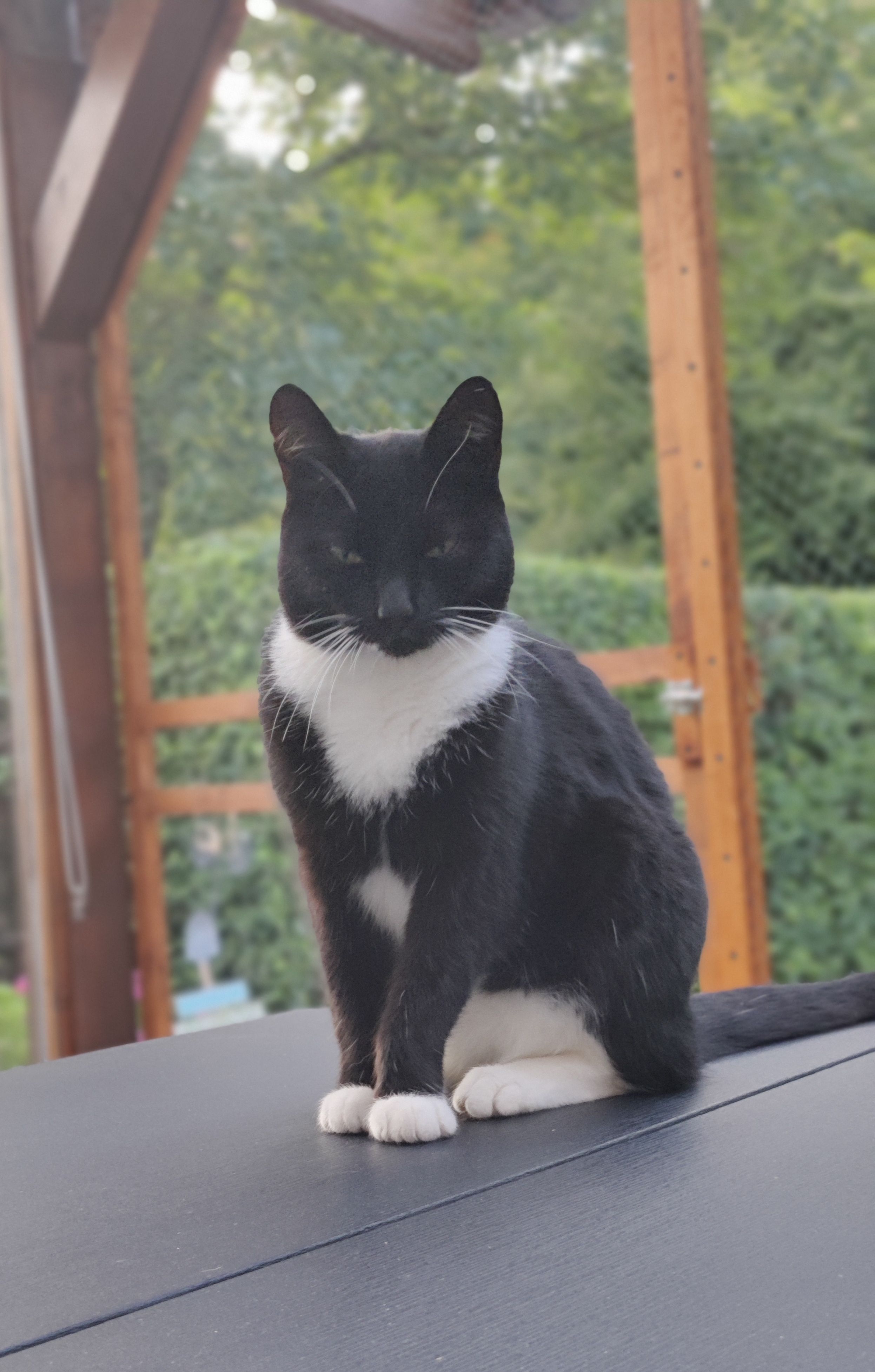 Blacky - Händelstraße, Warburg