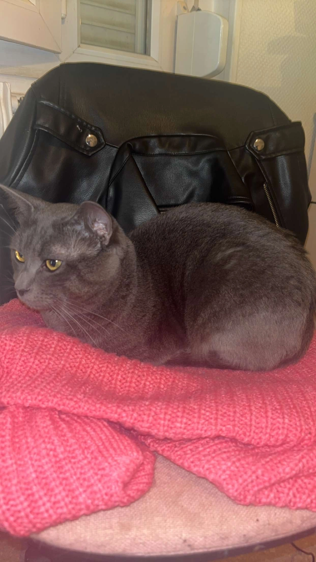 Capucin - Rue Robert Schuman, Villefranche-sur-Saône