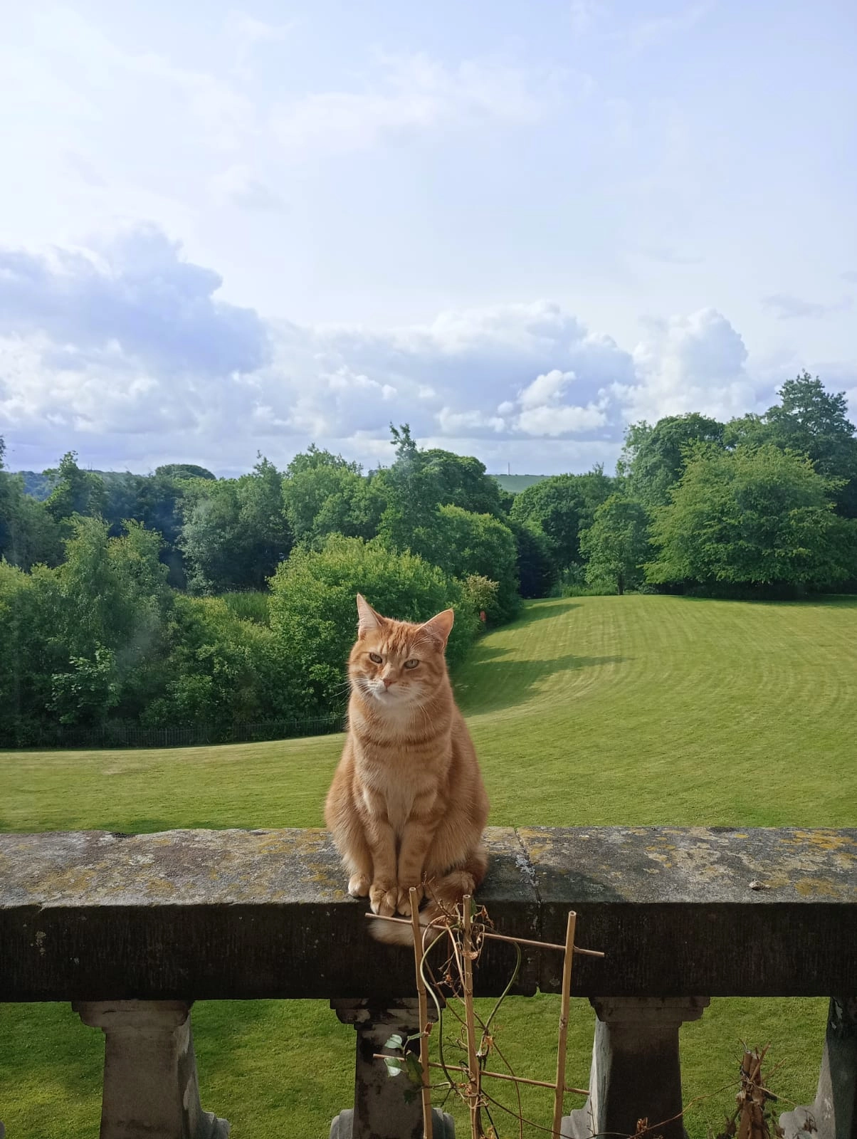 Fanta Strong - Marchlands Terrace, Bo'ness