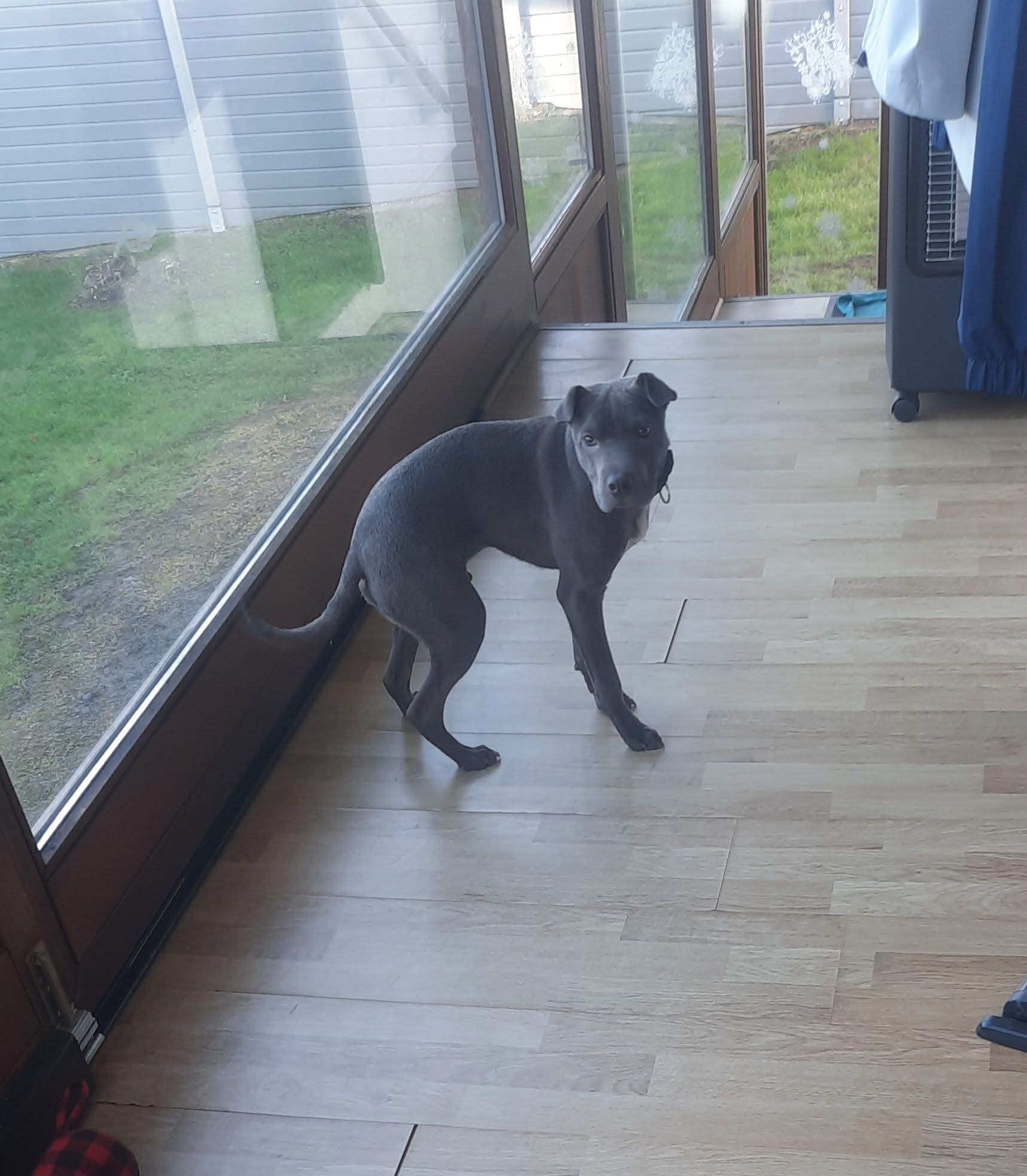 Marley  - Rue Des Forges, Couvin