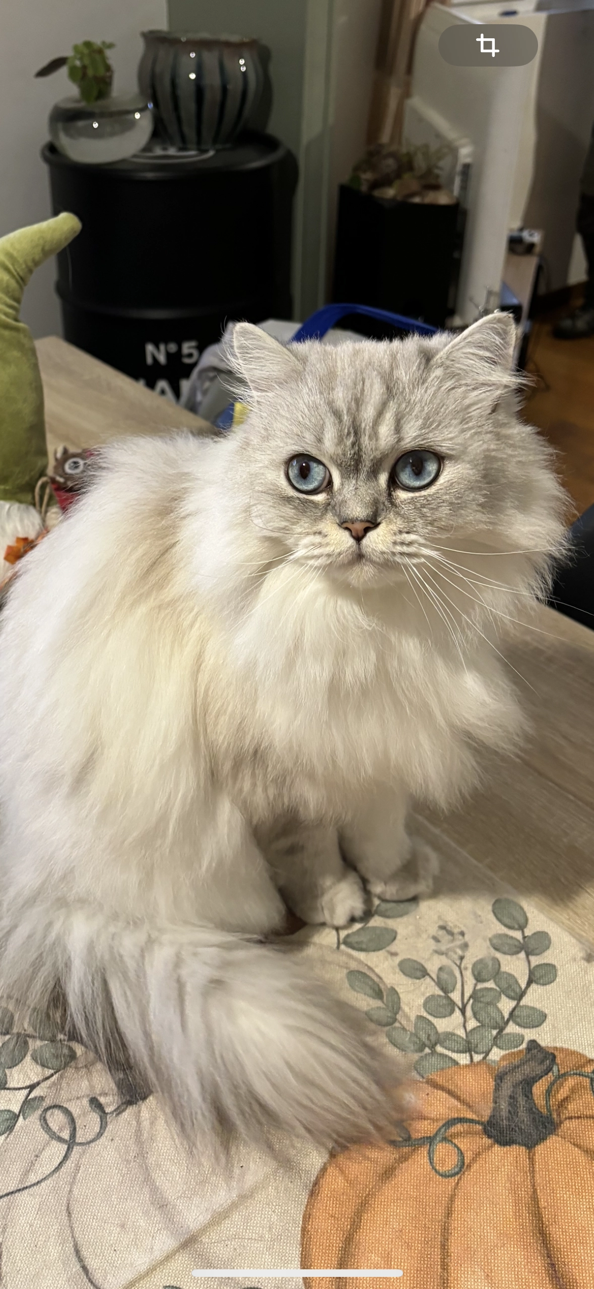 Floky  - Rue De La Flaque Noire, Antheuil-Portes