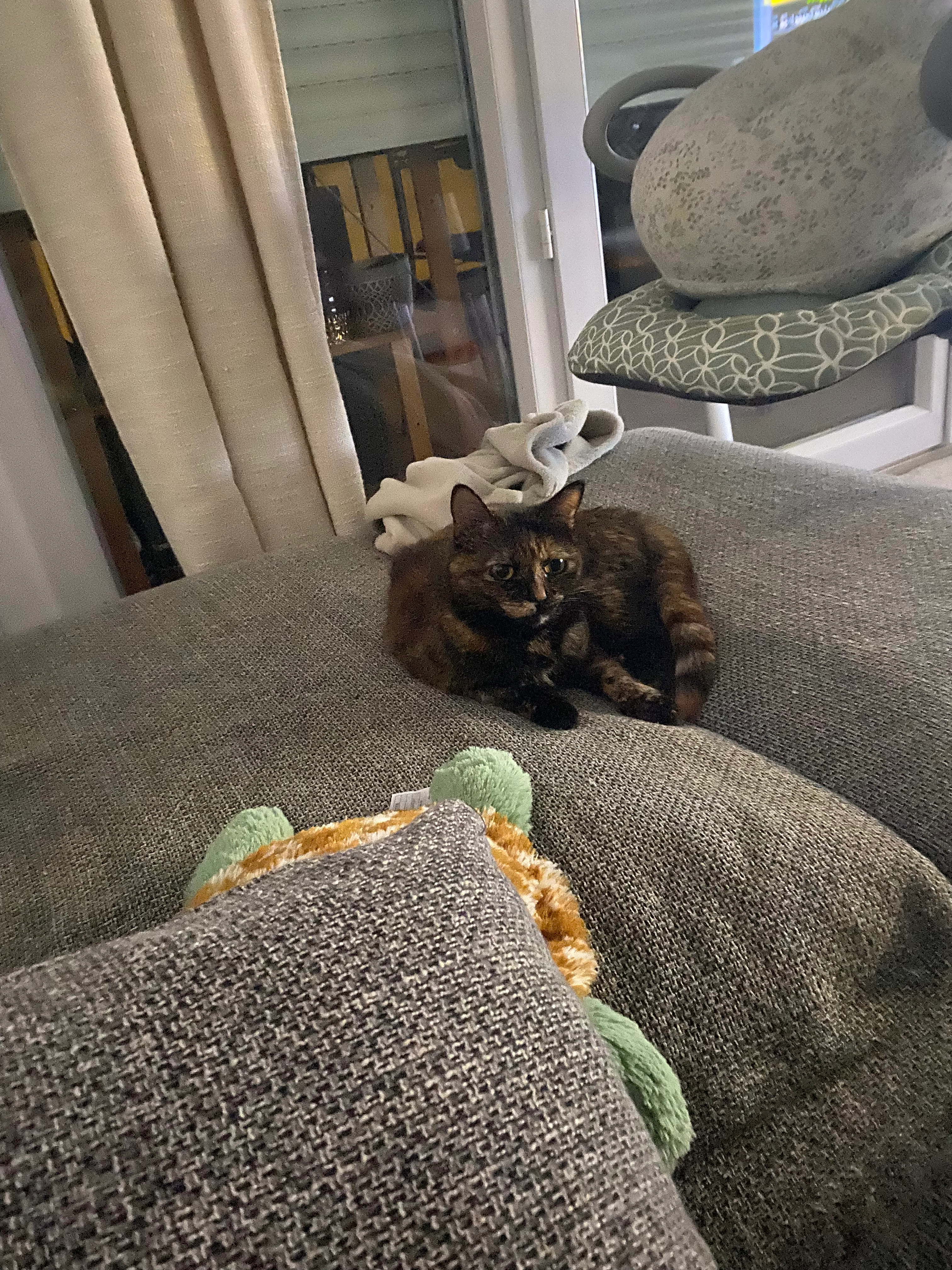 Miki - Chemin Des Adrechs, Vidauban