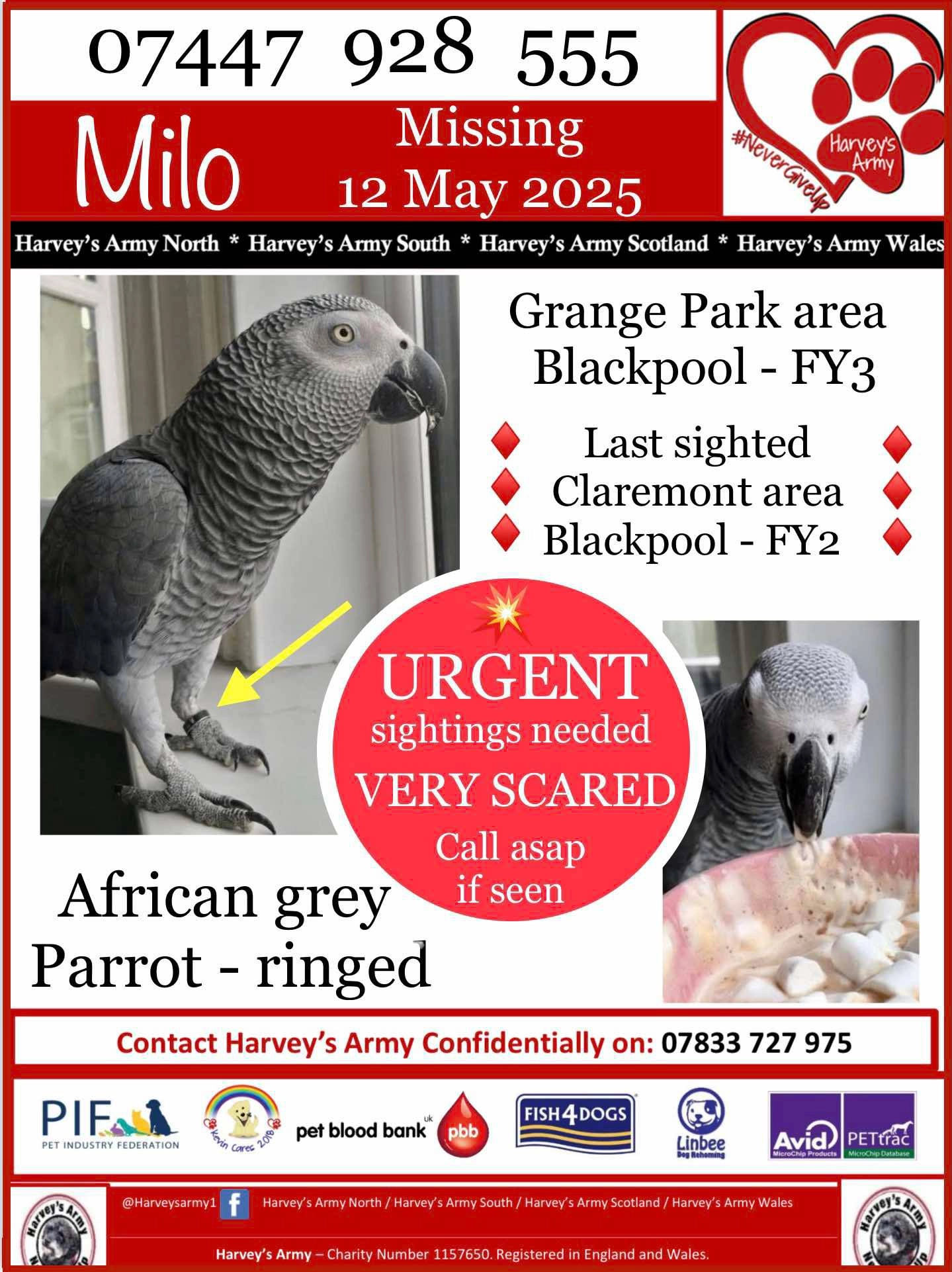 Milo  - Paythorne Close, Blackpool