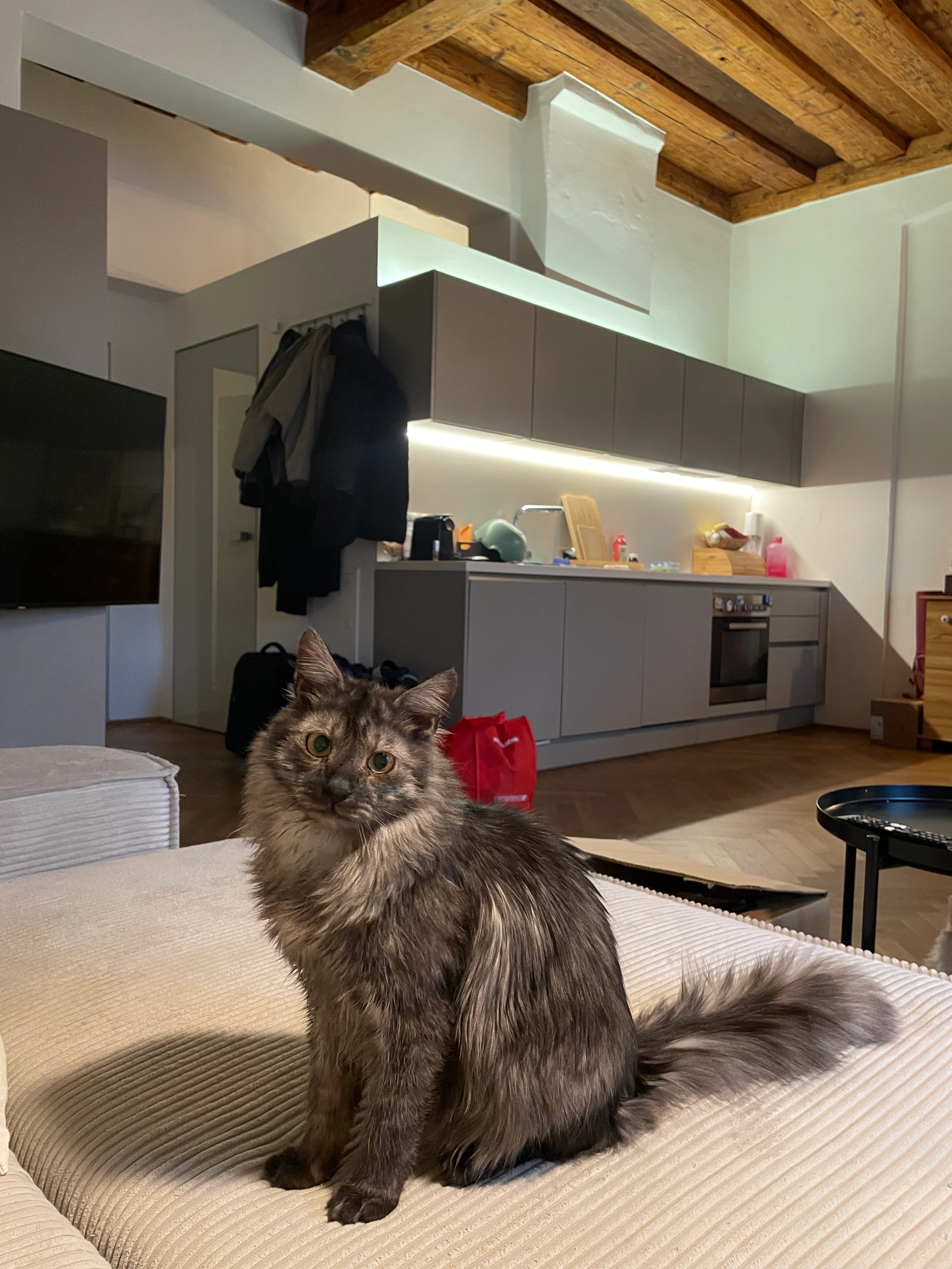 Lio - Leonhardplatz 4, Graz