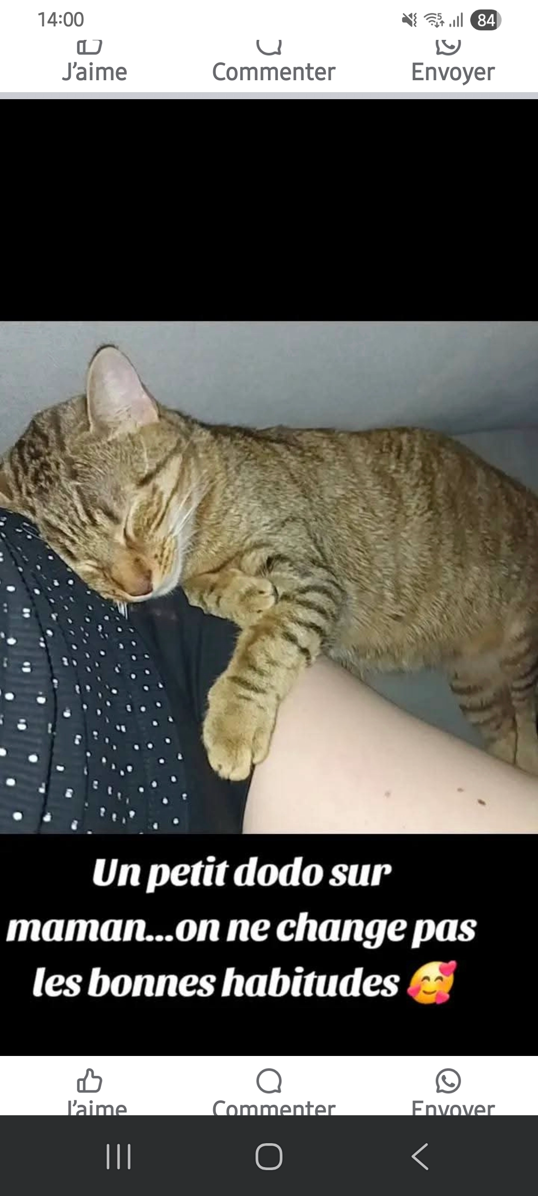 Yankee - 43 Rue d'Ulm, La Roche-sur-Yon