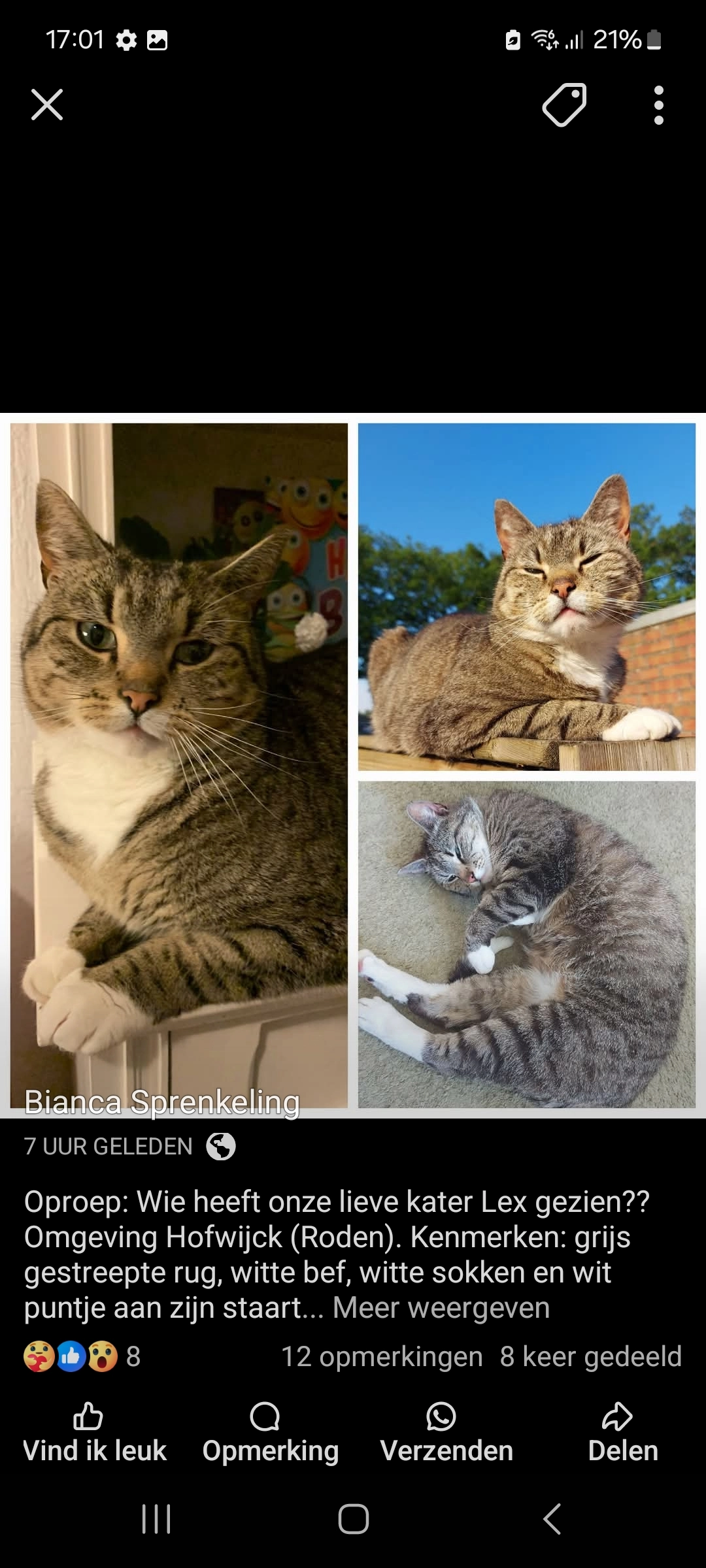 Lex - Hofwijck, Roden