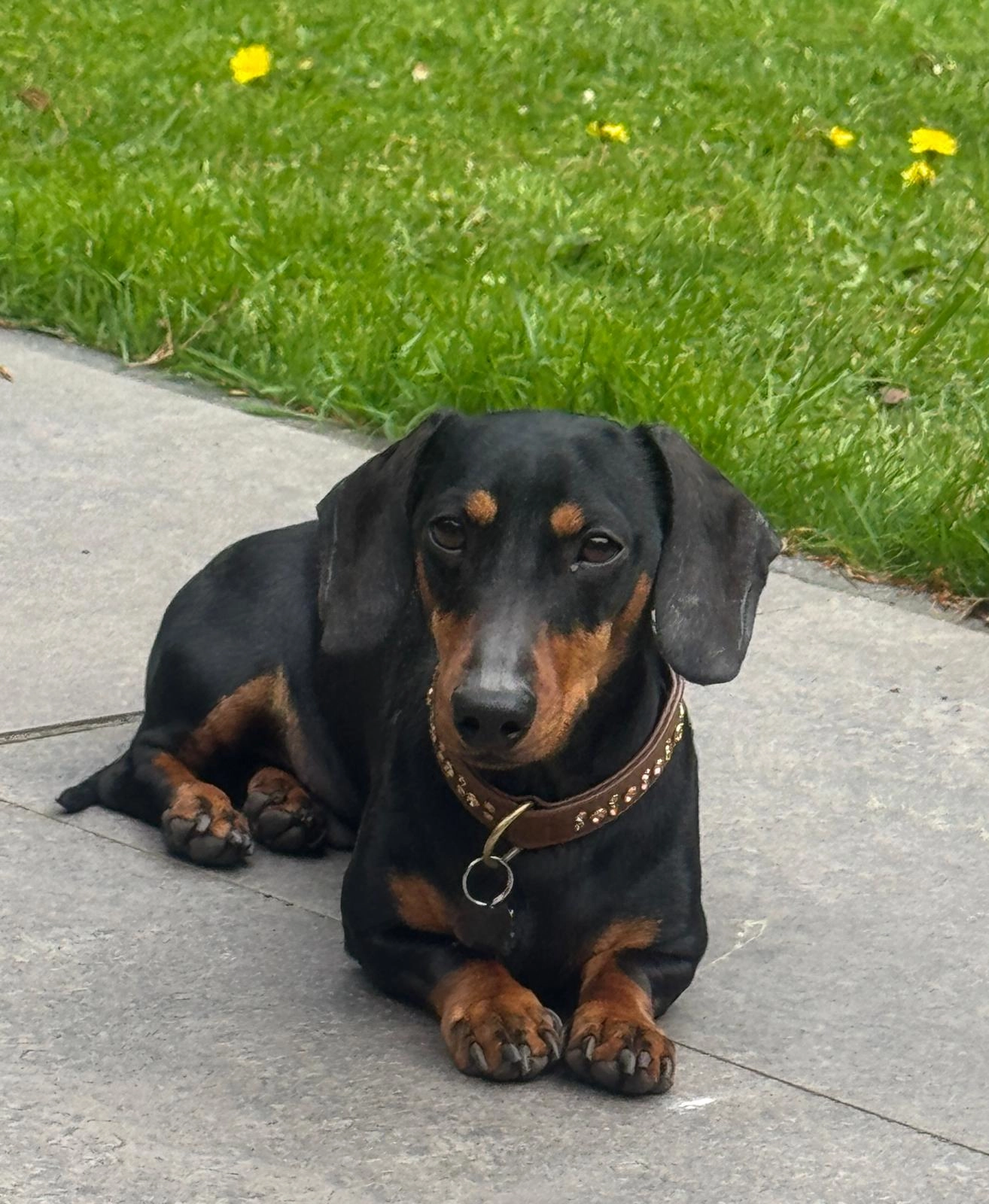 George - Harderwijkerweg, Ermelo