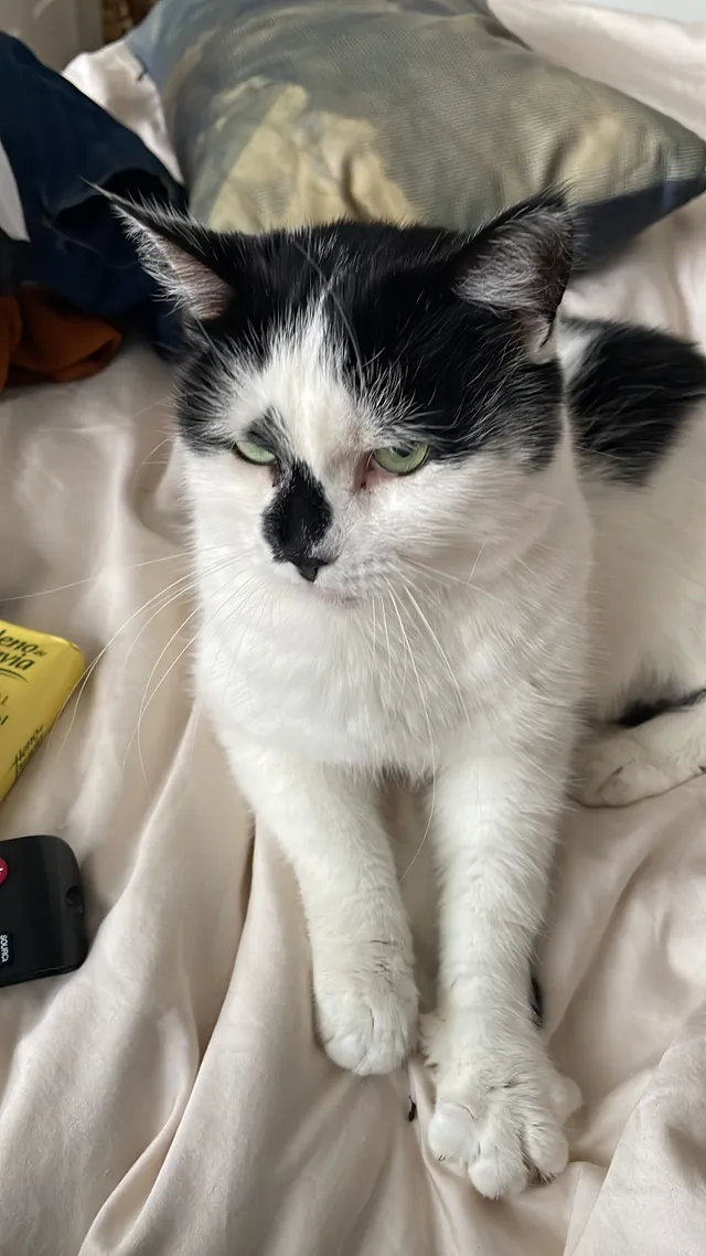 Binks - Albemarle Road, Beckenham