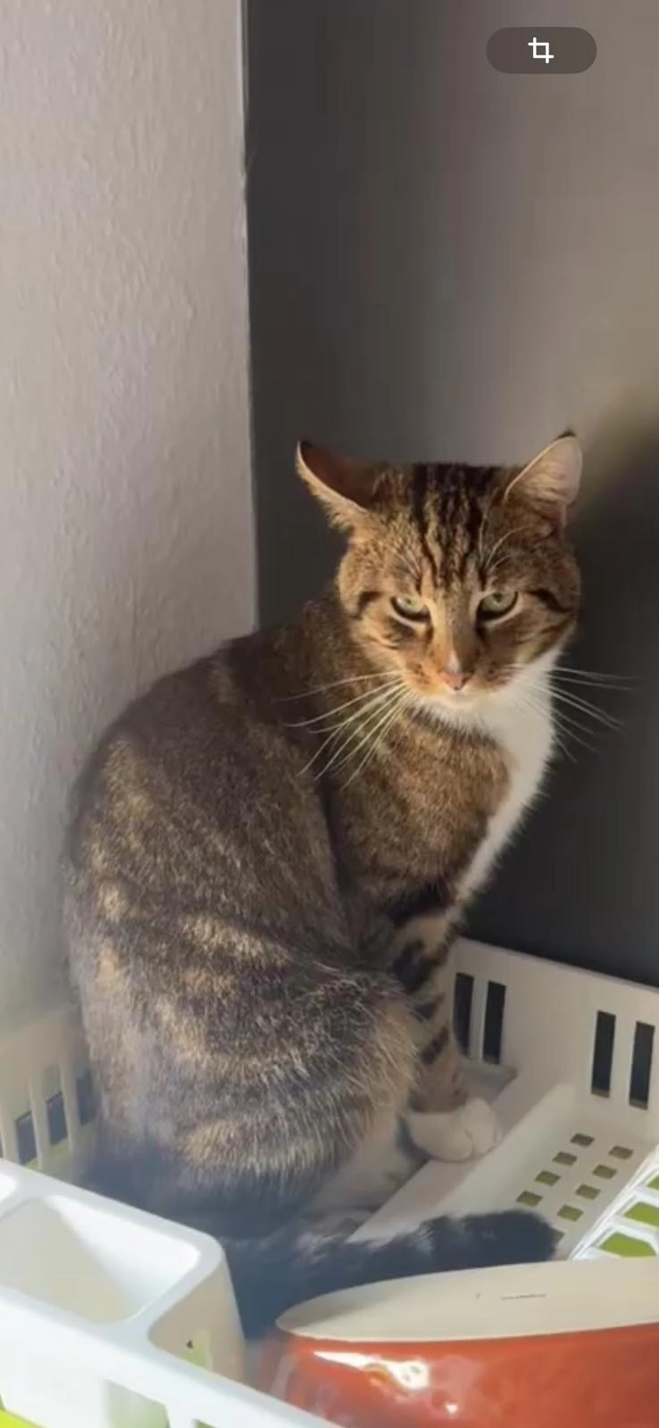 Eli - Reiherstraße, Bockhorn