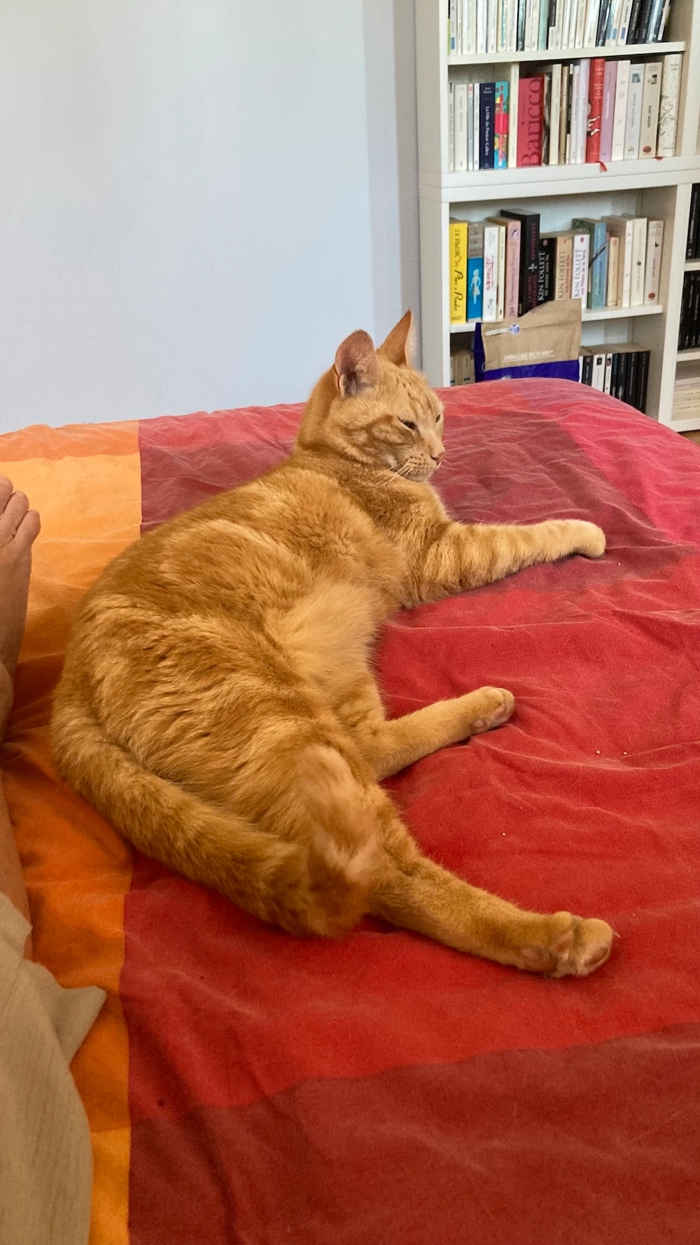 EDDY - 645 Chemin de la Martelière, Meyreuil