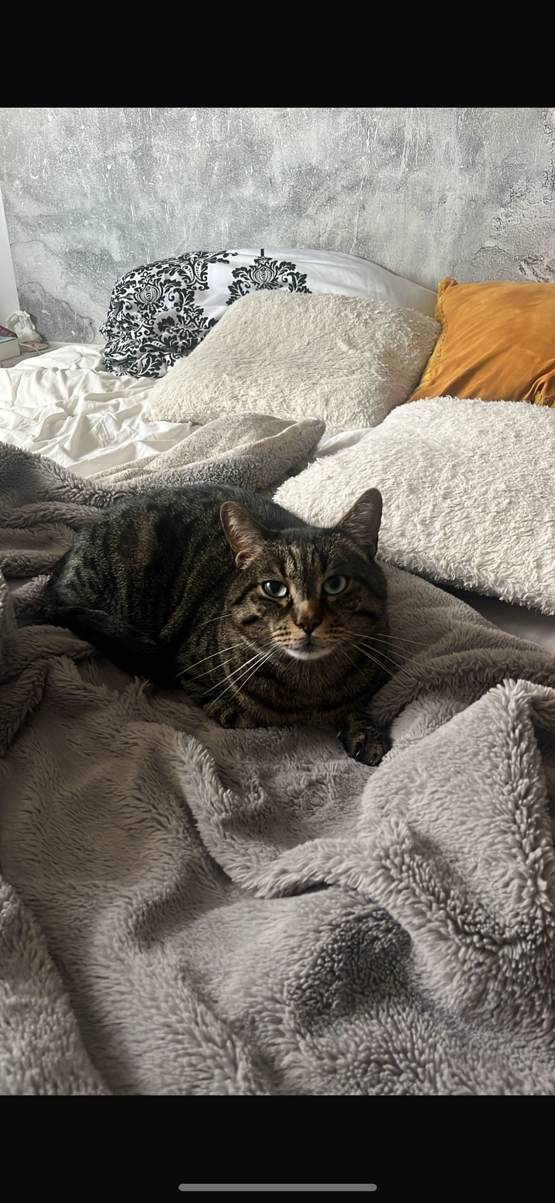 Henry - Aubinger Straße, München