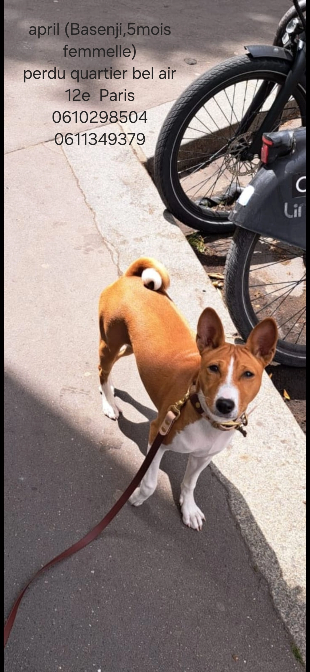 April - Rue Du Sahel, Paris