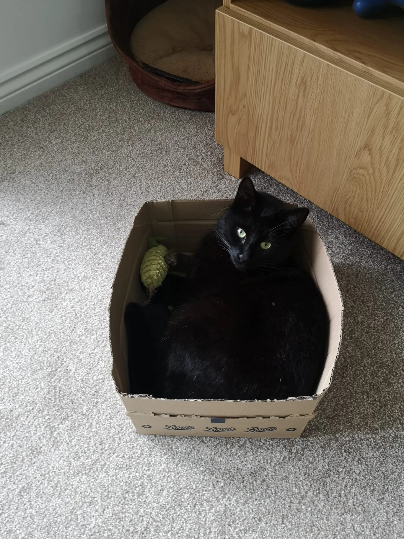 Sultan - Tutbury Avenue, Derby