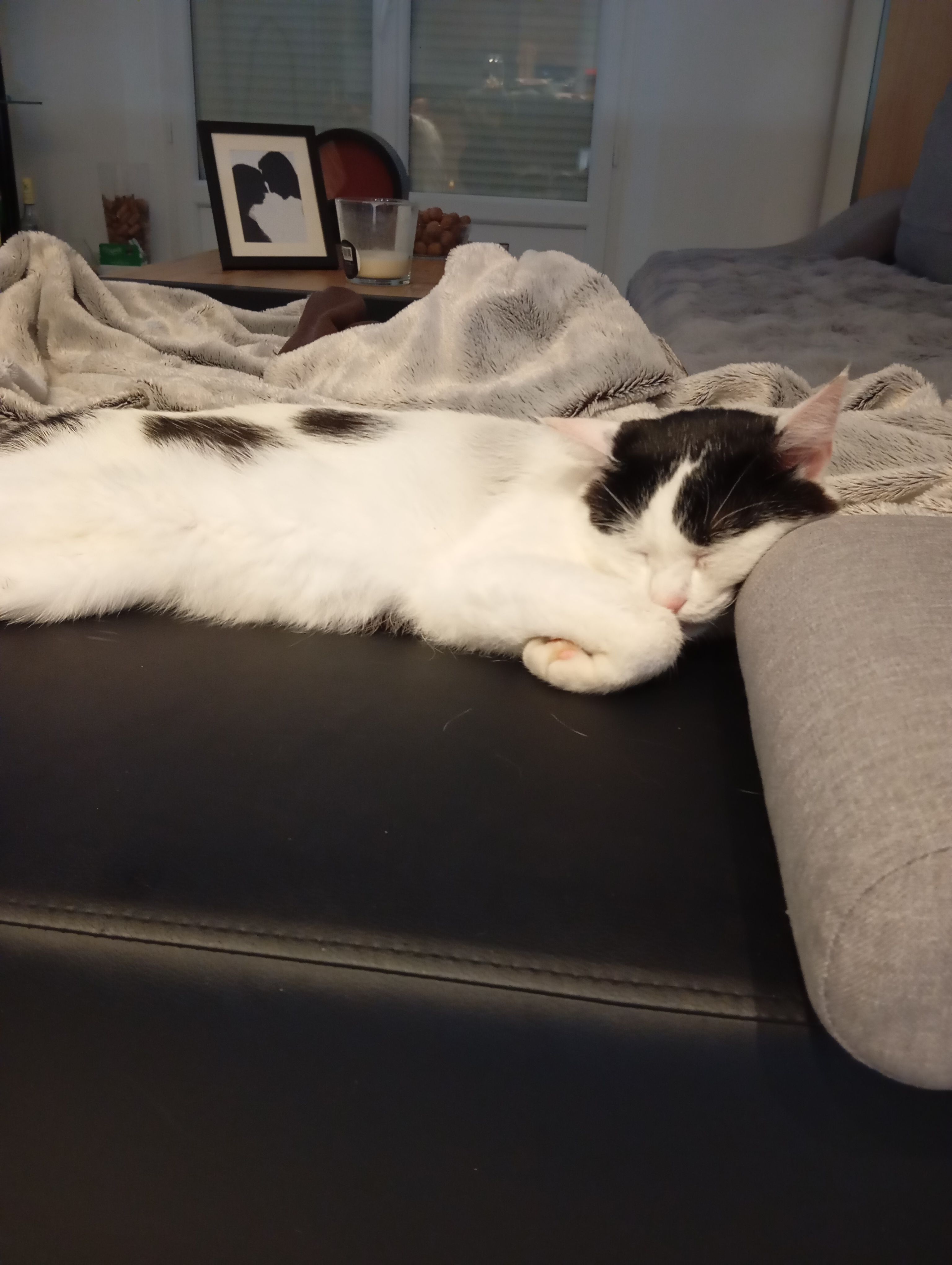 Hercule  - 13 Rue Principale, Beaunay