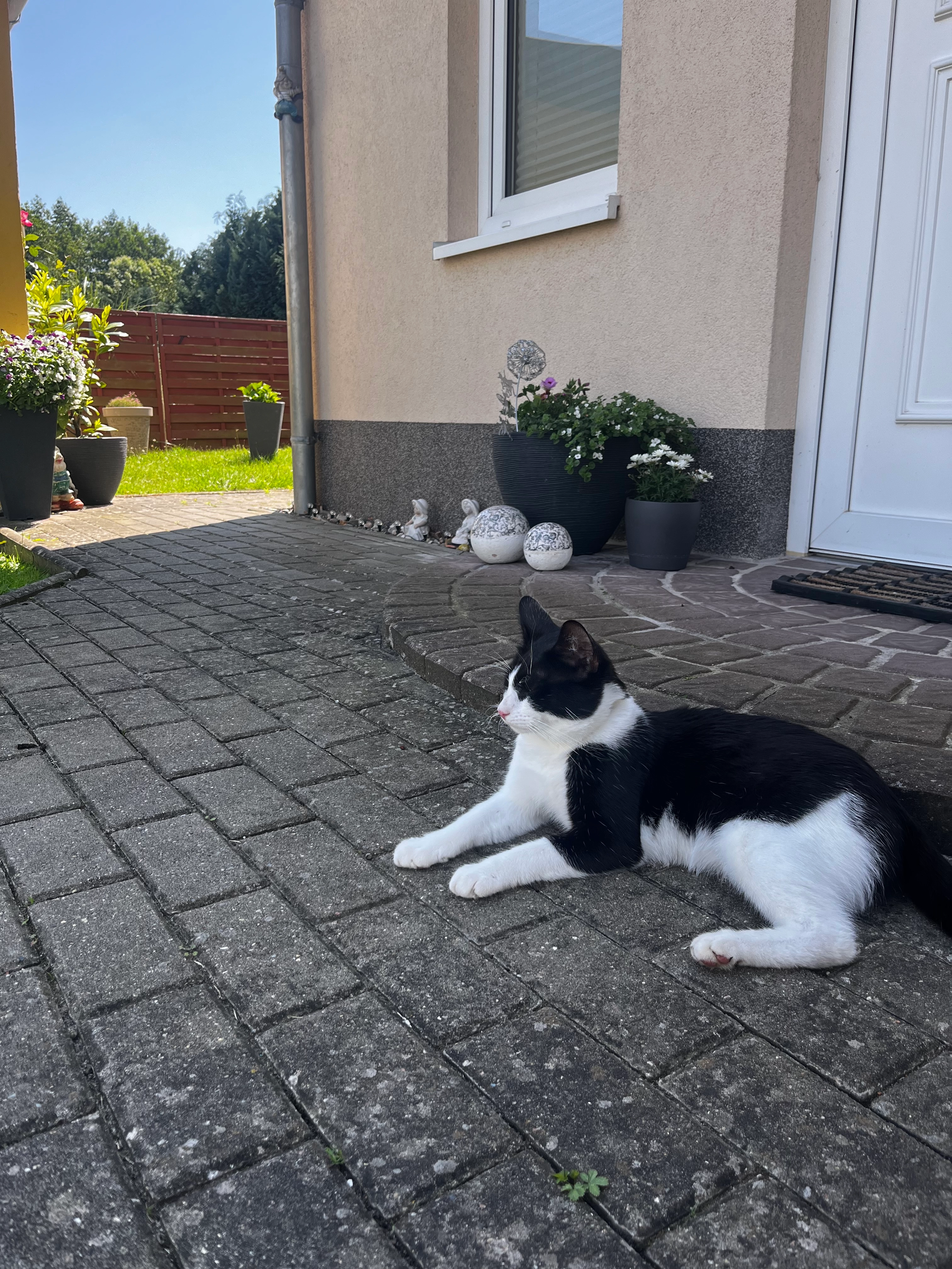 Sven - Friedhofsweg, Lüssow