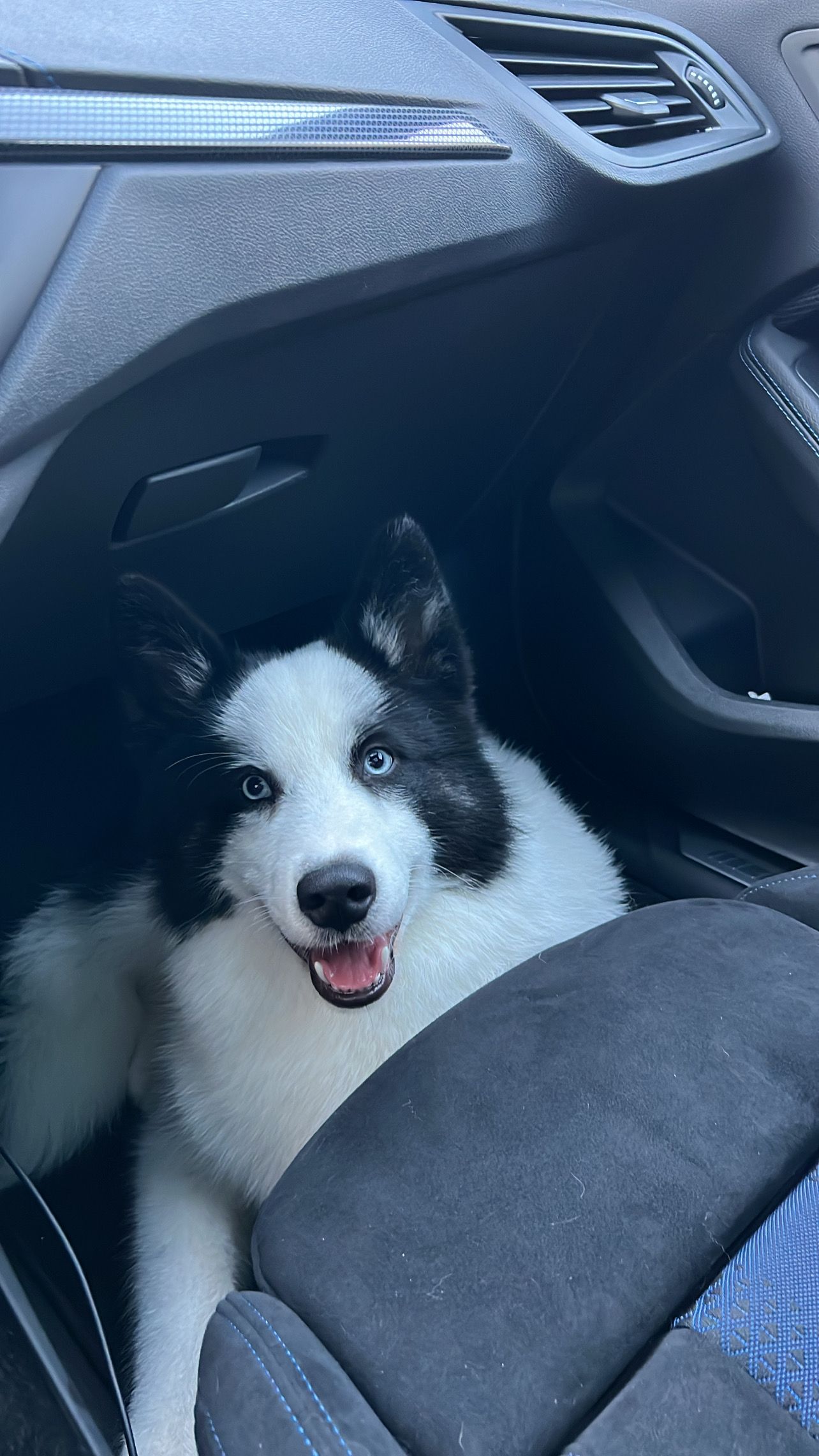 volt - 88C Avenue Ernest Cristal, Aubière