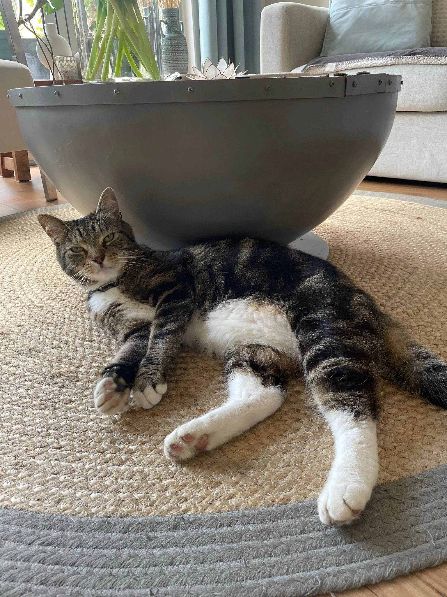 Bo - De Malus, Leeuwarden