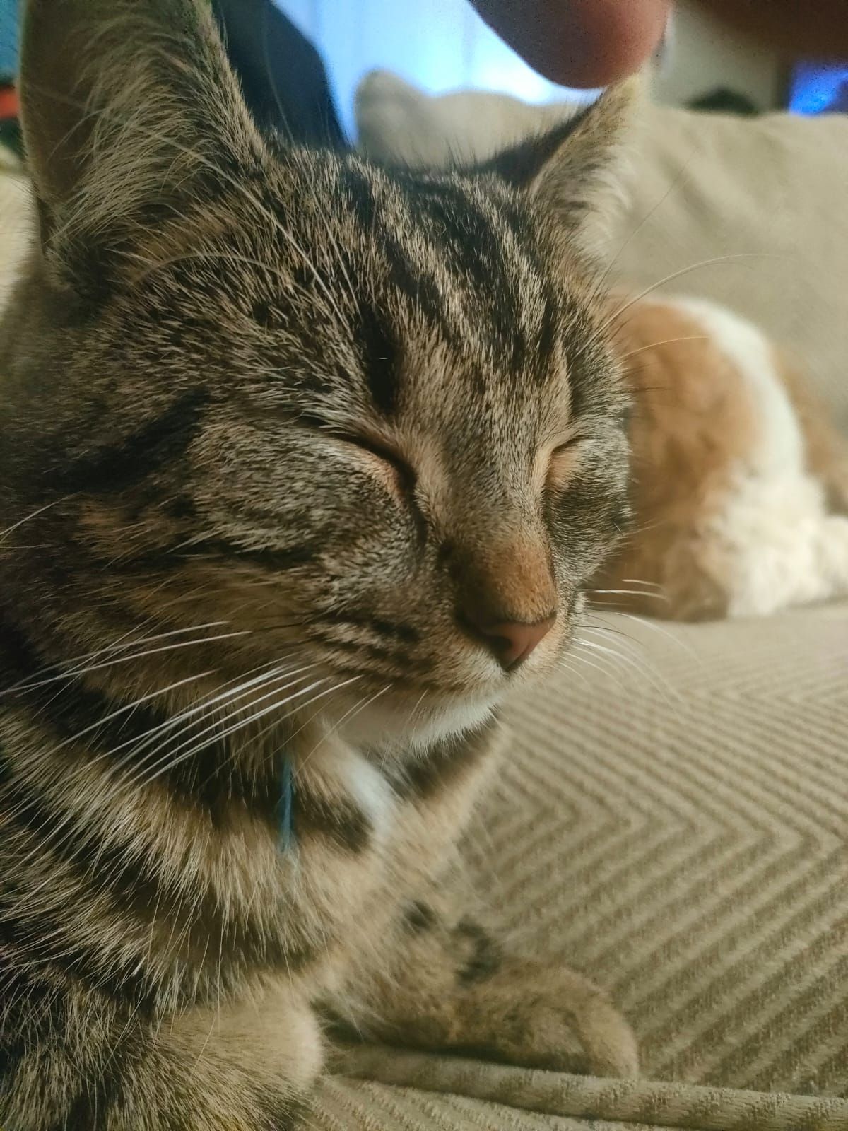 Titch - Wootton Street, Glastonbury