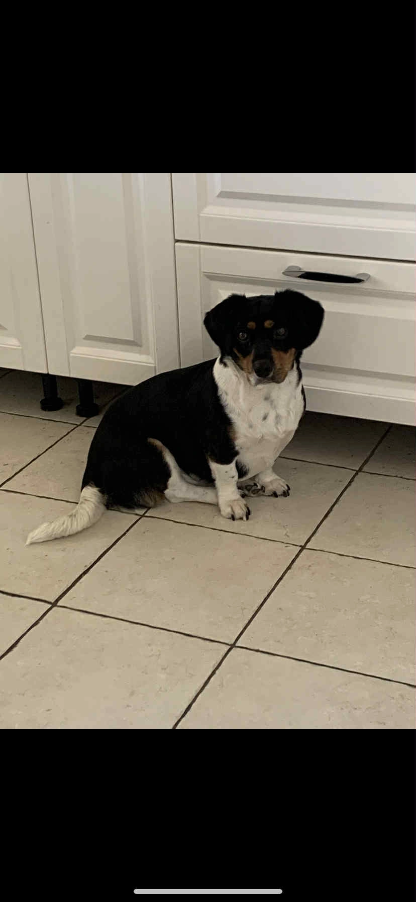 Opale - Carrefour De L'hours, Béziers