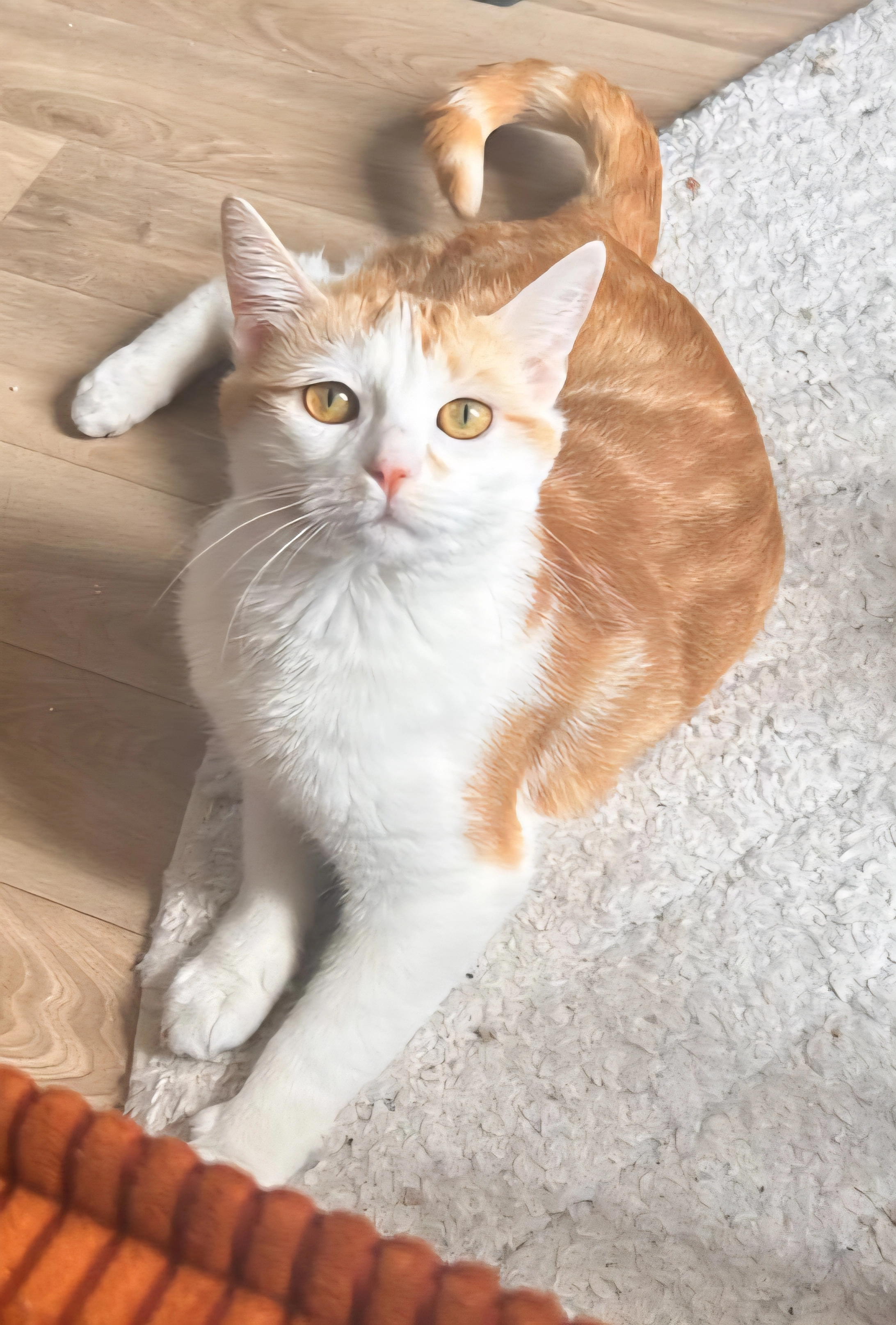 Gaston - Rue Fatou, Meaux