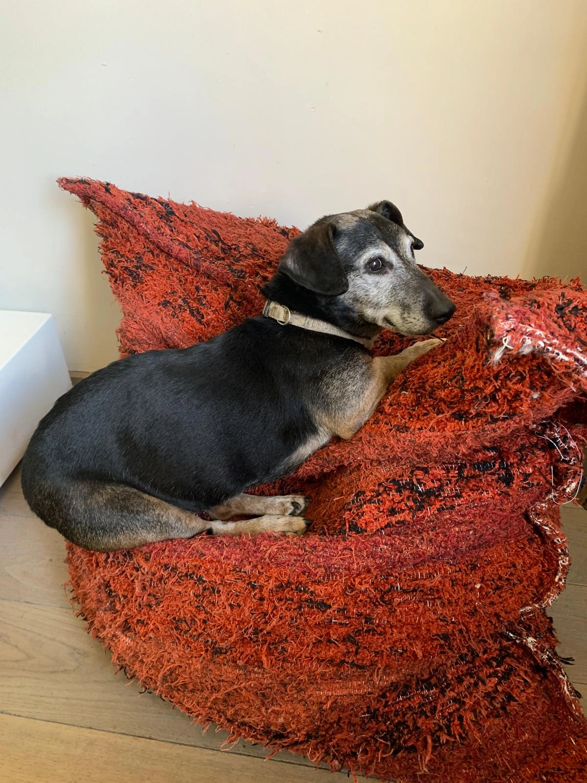 Crumble  - Chemin Des Roches, Chaudfontaine