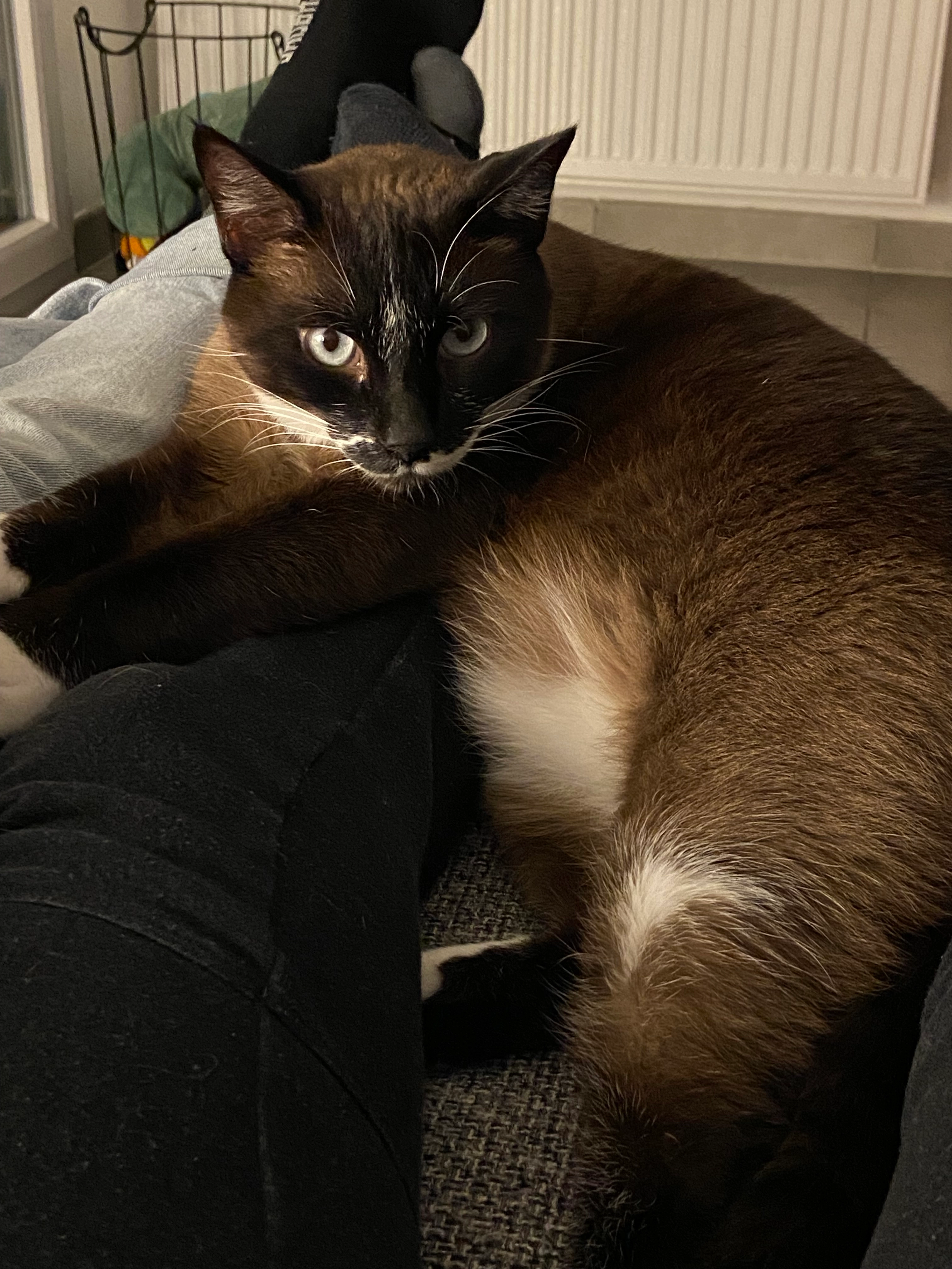 Kinine - Chemin de la Peyrière, Saint-Jean