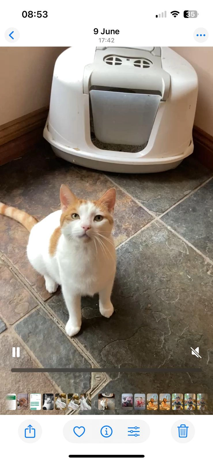 WILSON - HR9 6DZ, Ross-on-Wye