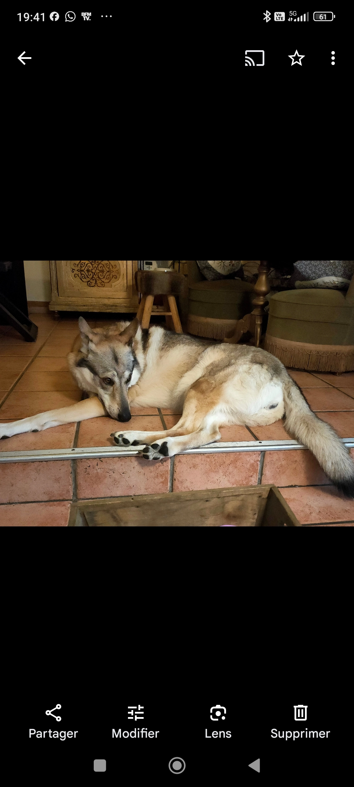 Iris  - Rue des Gallerands, Montmorency