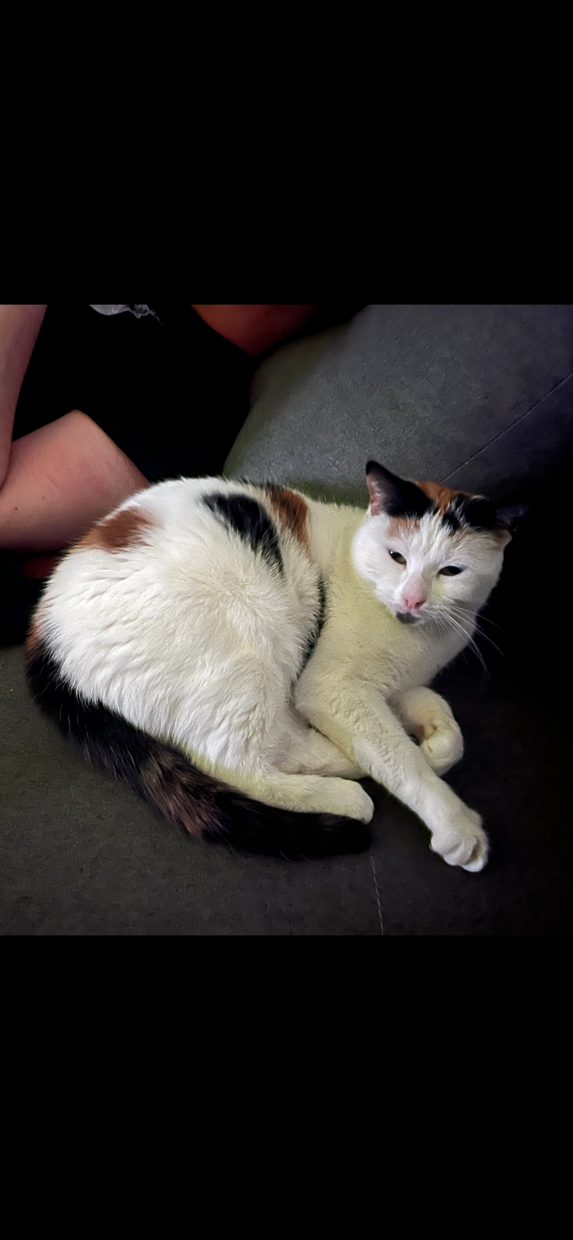 Tama - 5 Rue des Vosges, Wasselonne