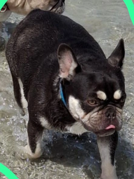 Yara - Rue Du Theven, Sibiril