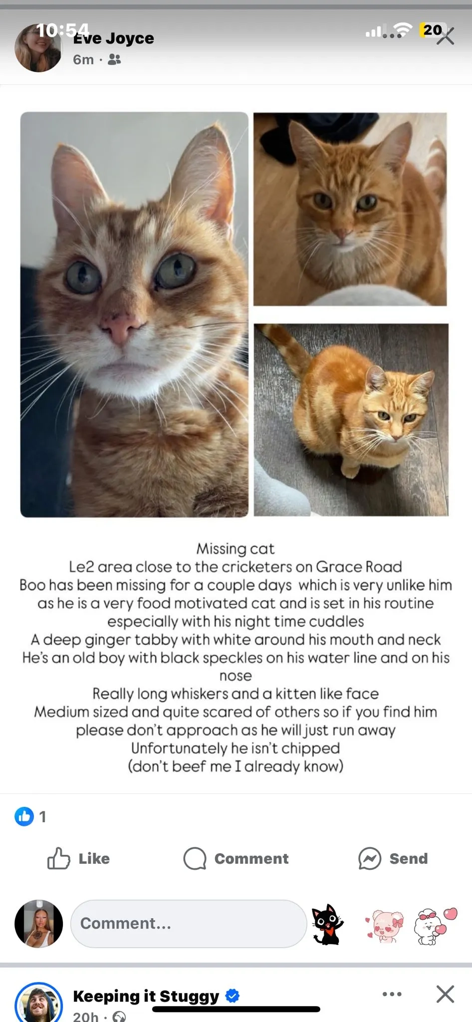 Boo - Denmark Road, Leicester