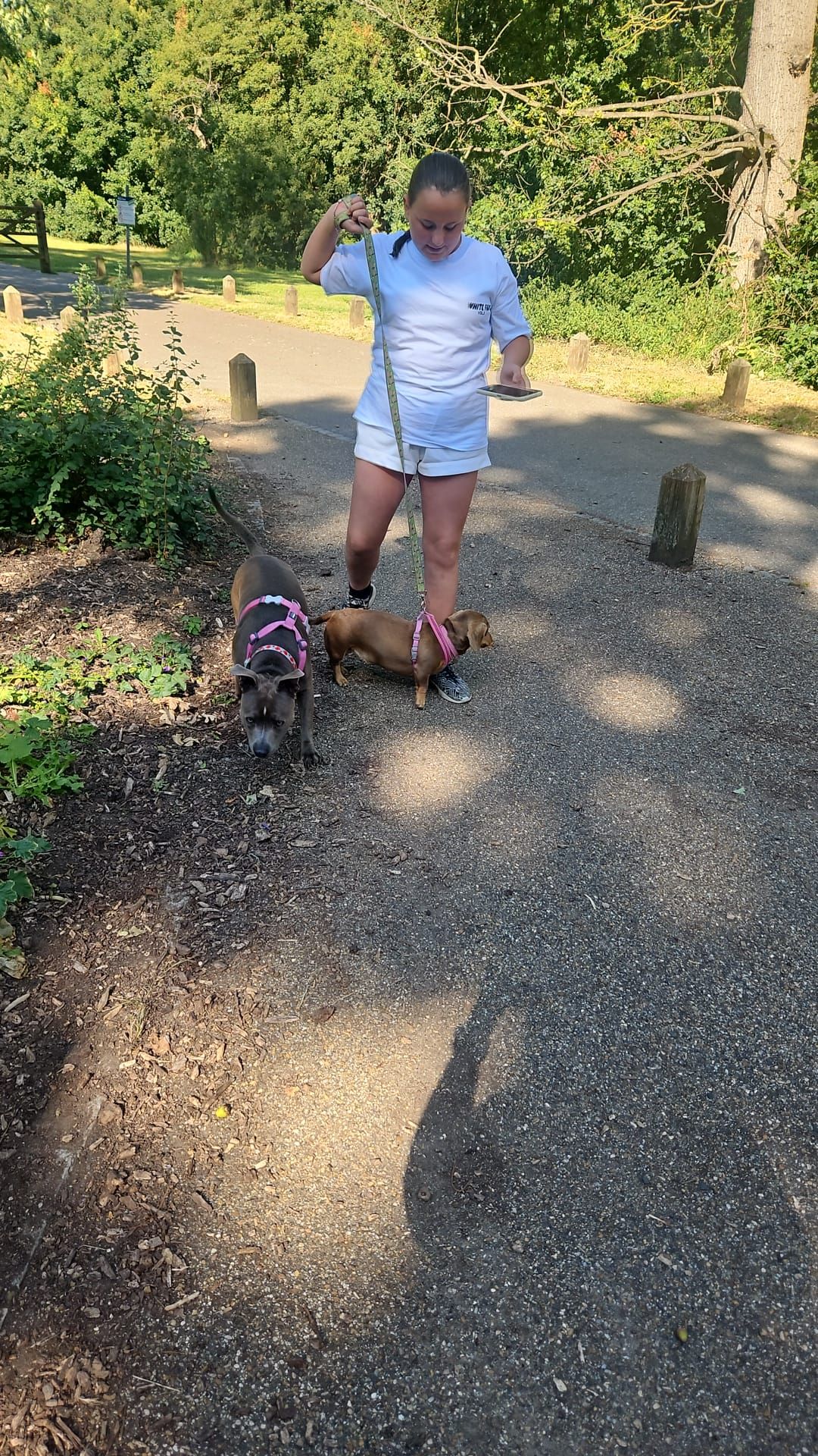 Lennie - Chartway Street, Maidstone