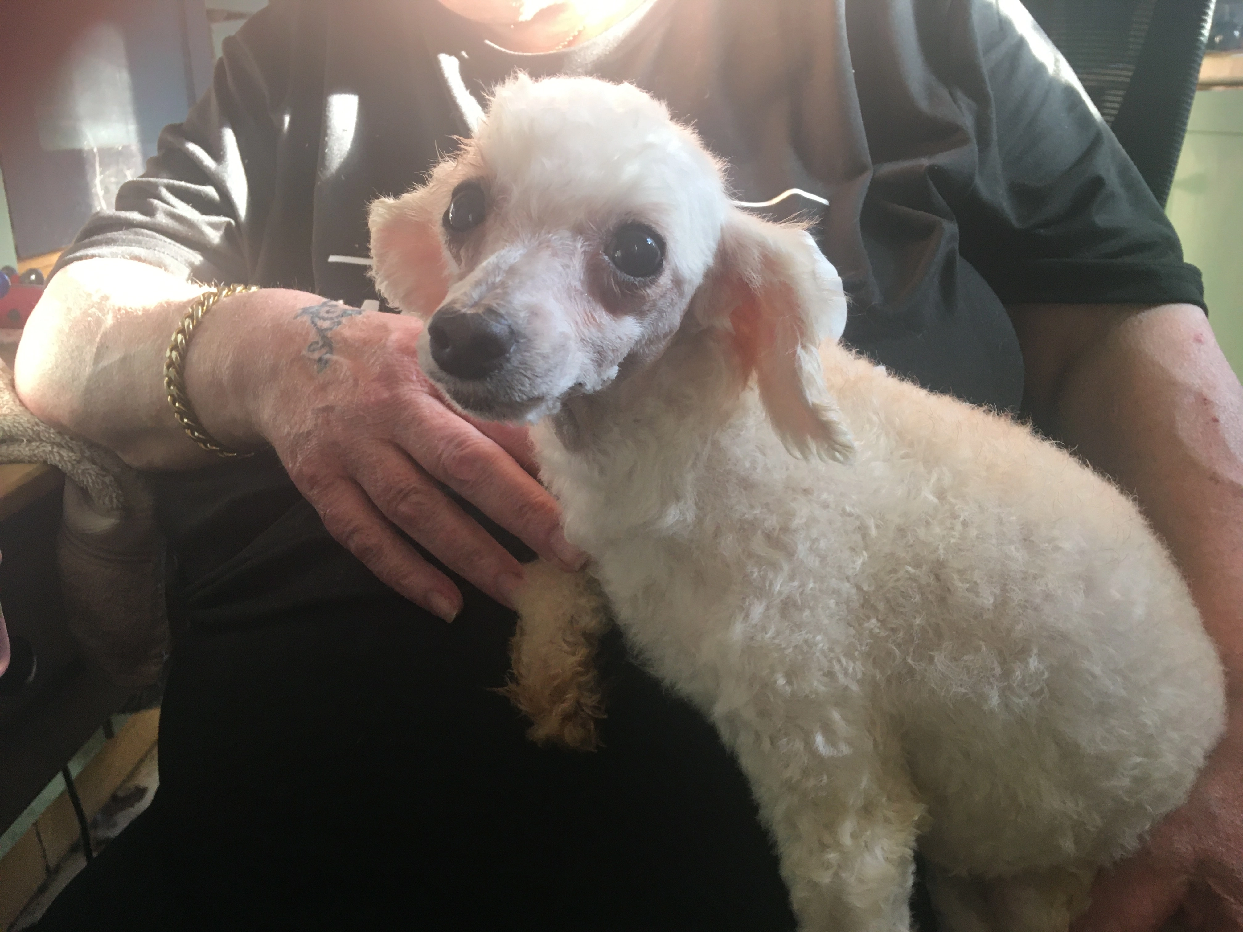 Levi - Burringham Road, Scunthorpe